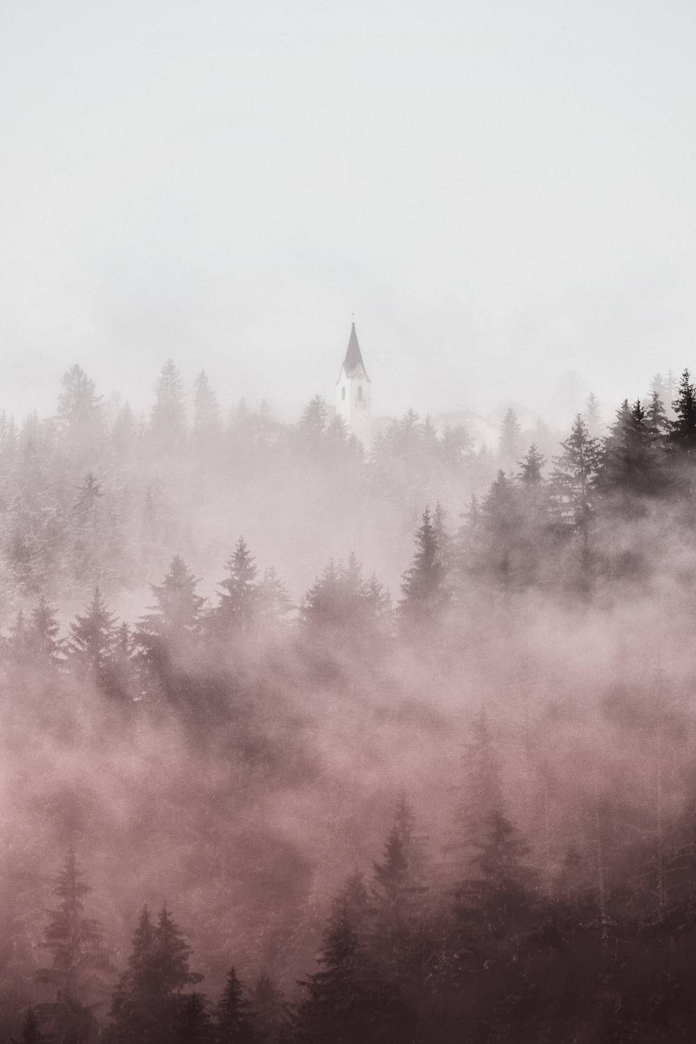 Pastel iPhone, fog trees, misty mountain forest, HD Phone Wallpaper