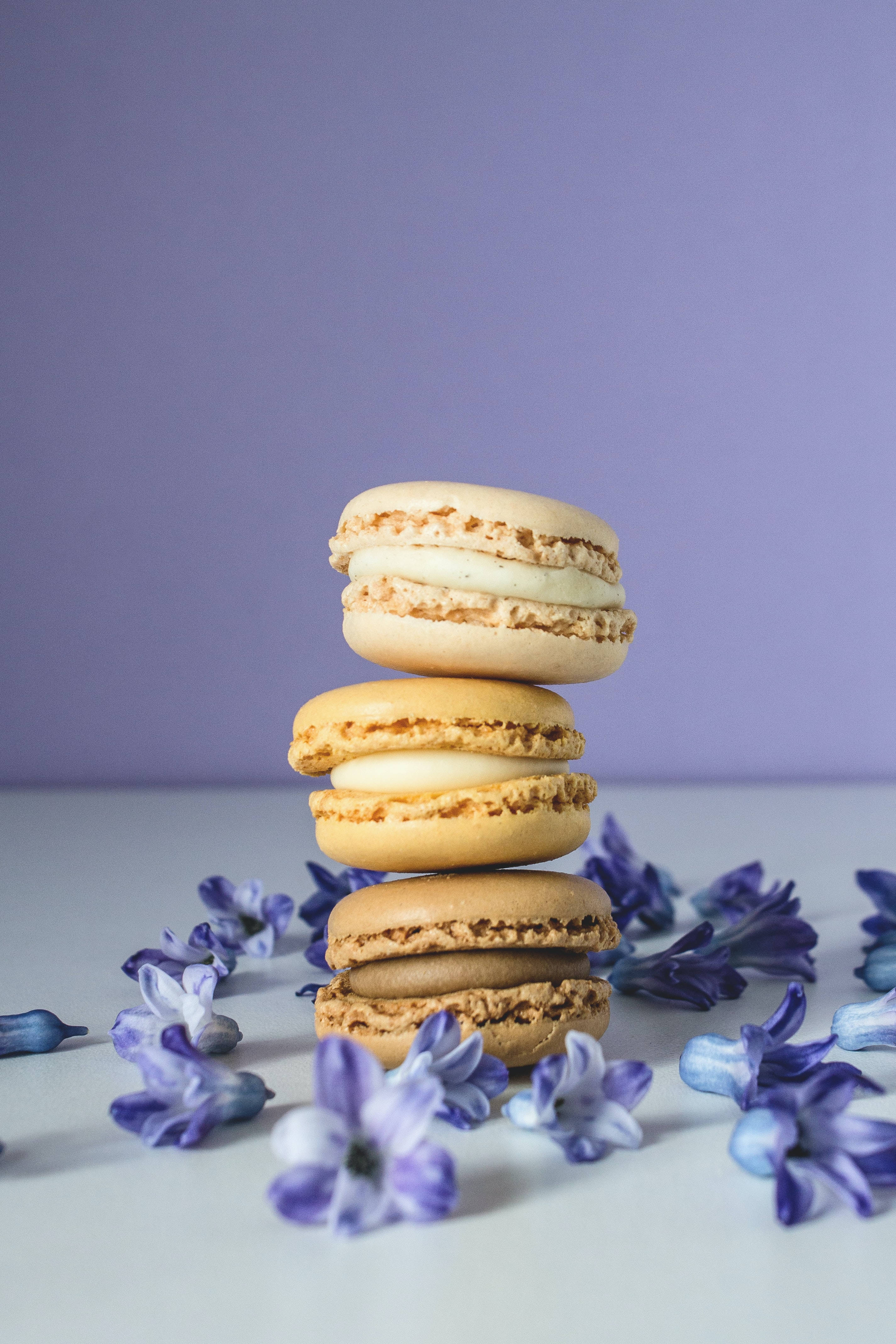 Pastel iPhone, beige, macaroons, 4K Phone Wallpaper