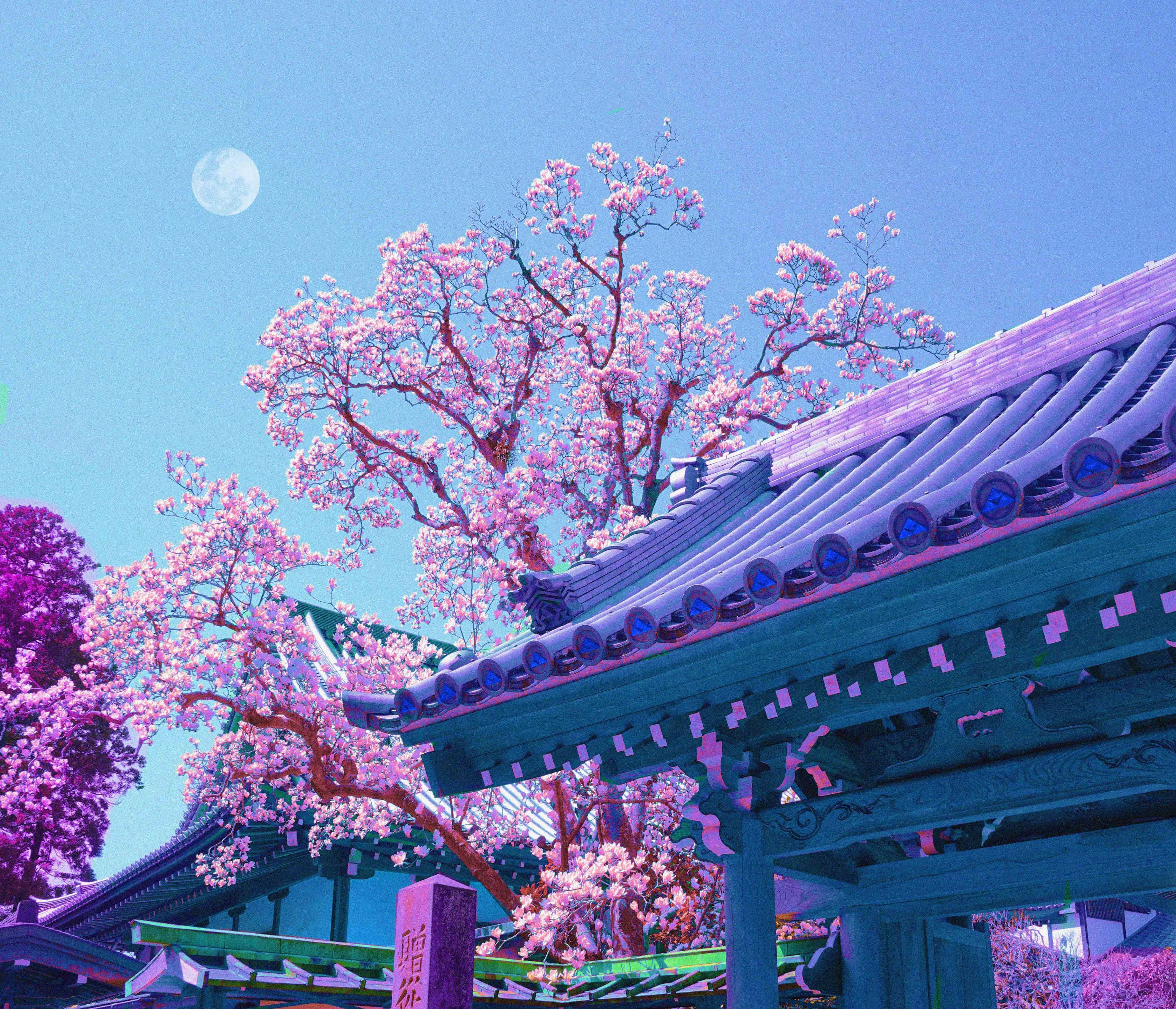 pastel japanese aesthetic, cherry blossom tree, traditional Japanese temple roof, 2K Desktop Wallpaper