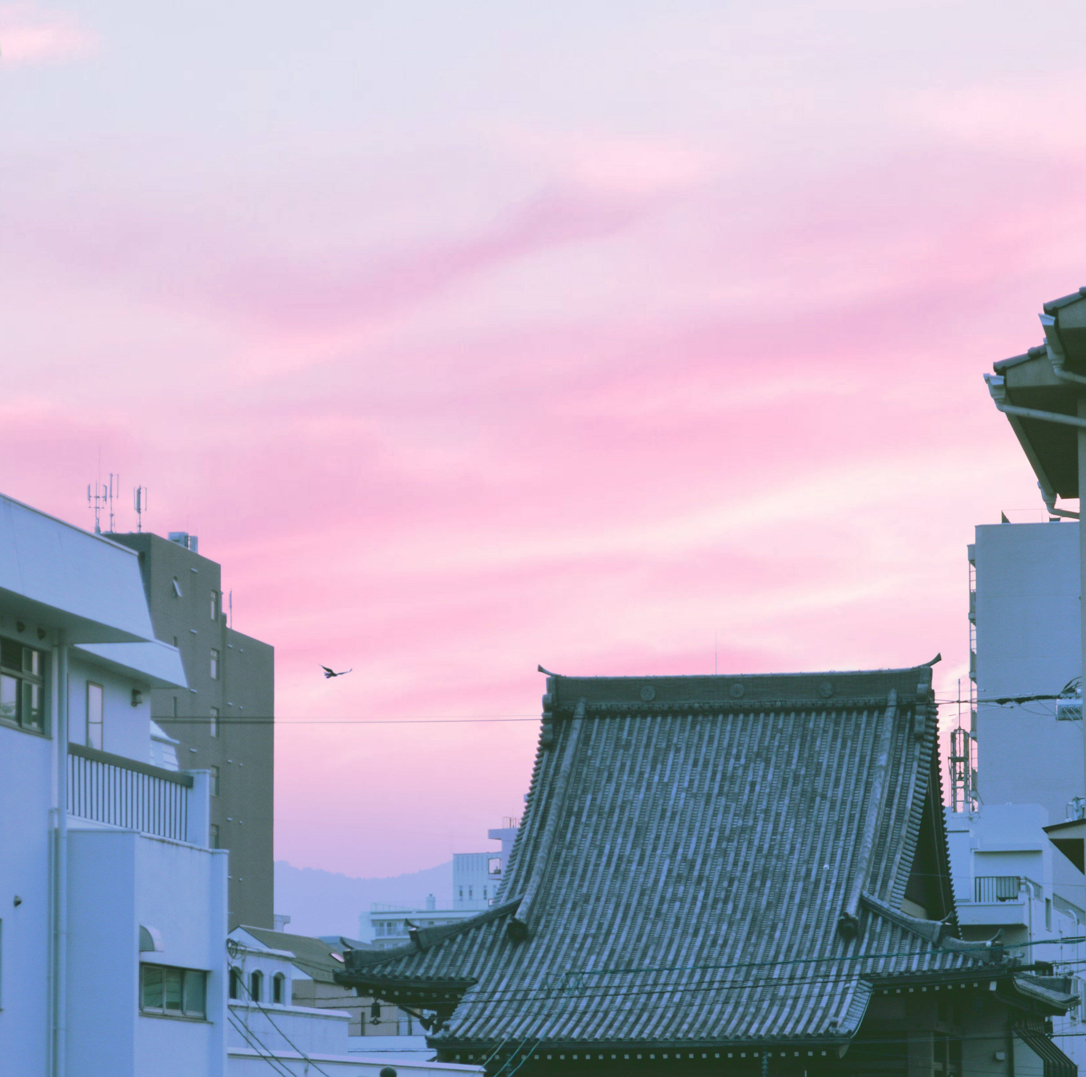 pastel Japanese aesthetic, traditional Japanese temple roof, modern buildings, 2K Desktop Wallpaper