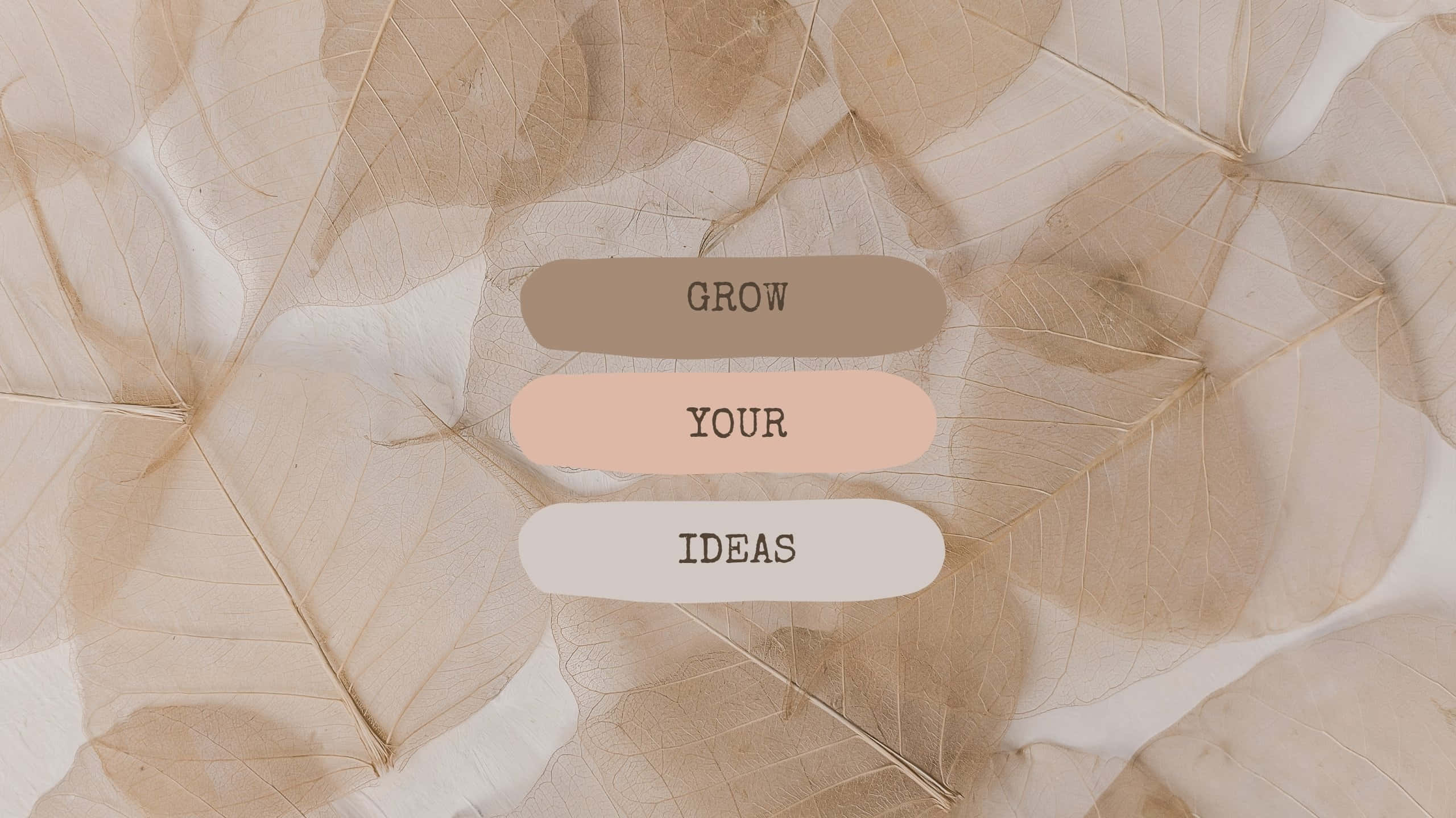 pastel buttons, soft beige tones, dried leaves, 2K Desktop Wallpaper