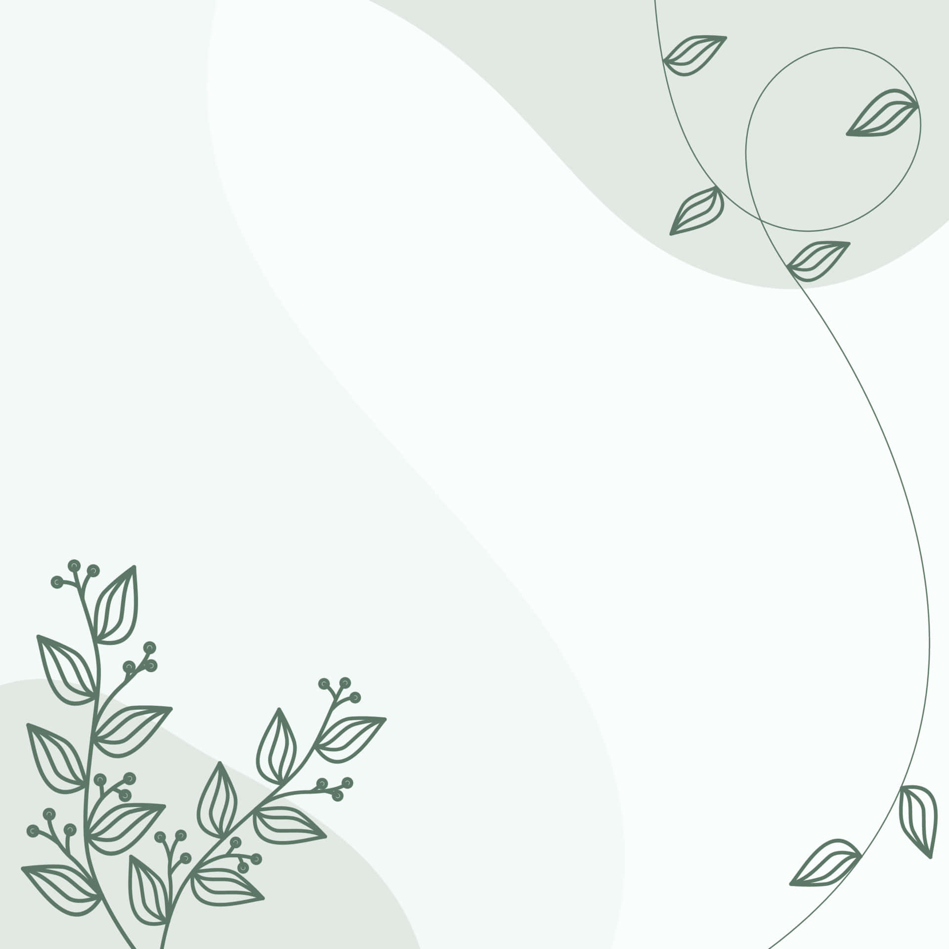 Pastel Minimalist, green line art leaves, vines, Full HD Desktop Wallpaper