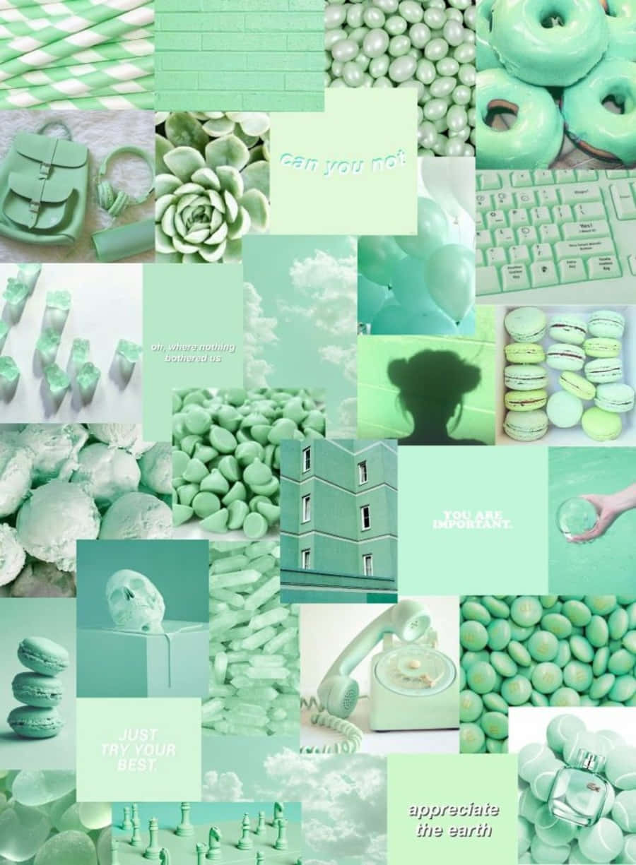 mint green, white, donuts, SD Phone Wallpaper