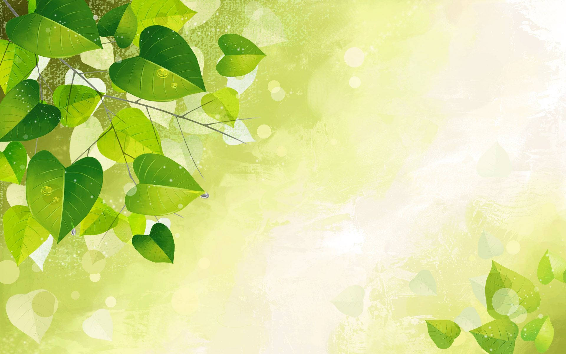green mint leaves, dewdrops, soft textured light green background, Full HD Desktop Wallpaper
