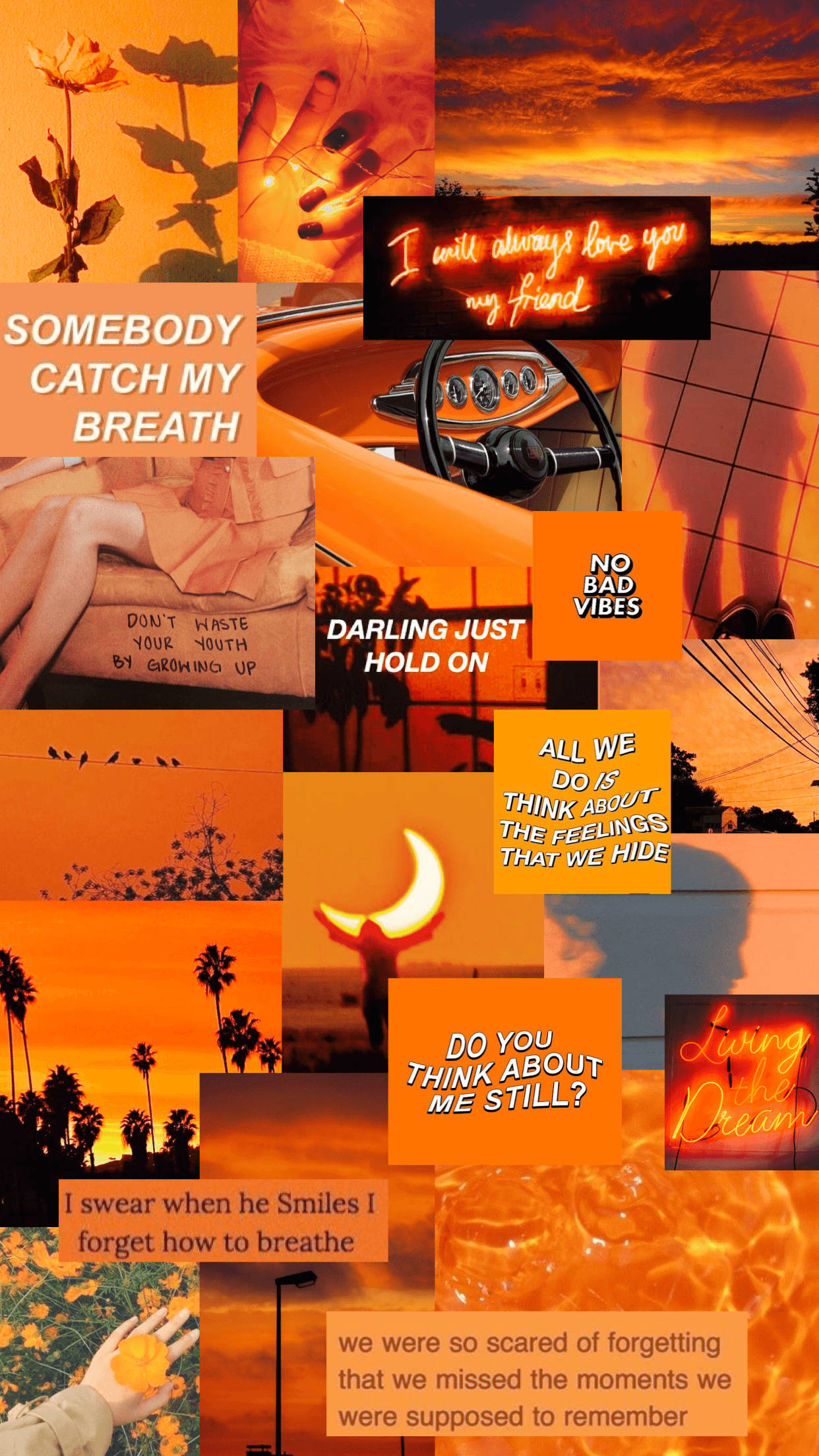 pastel orange aesthetic, sunset scenes, handwritten quotes, Full HD Phone Wallpaper