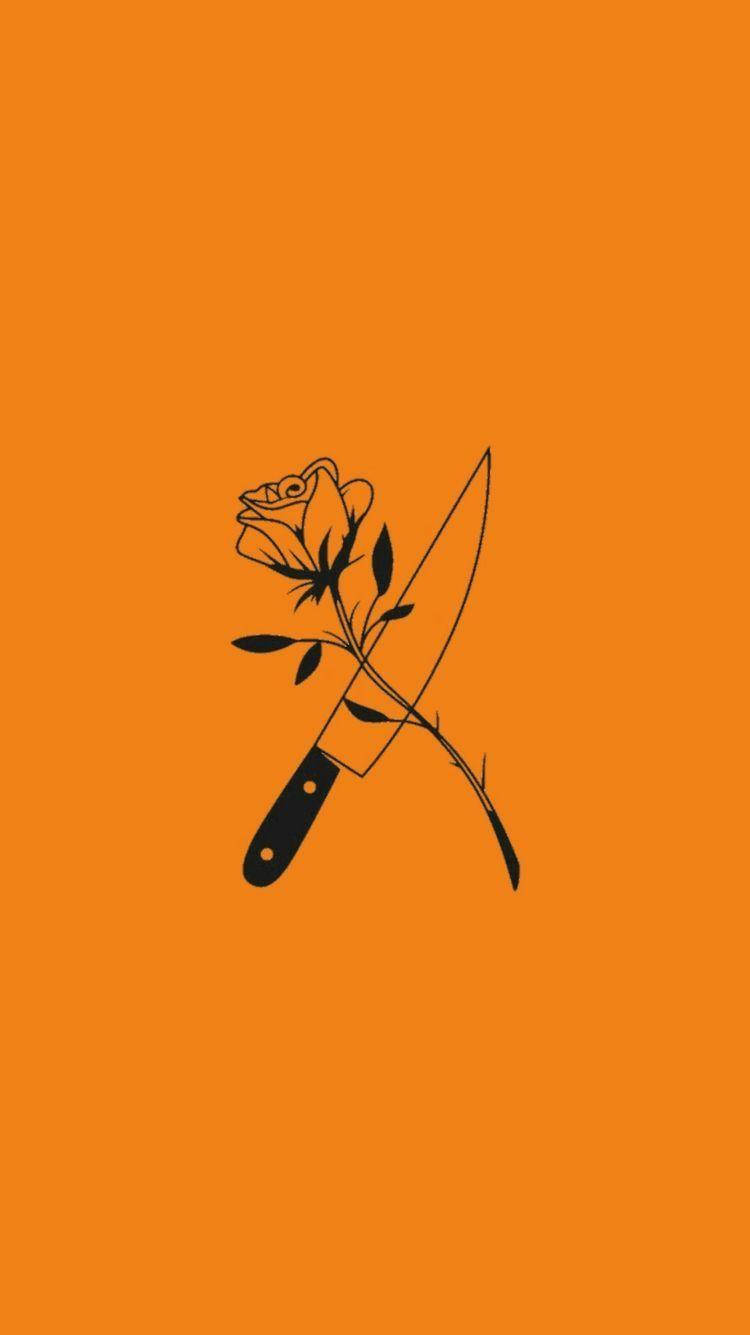 pastel orange aesthetic, minimalist flower, rose, HD Phone Wallpaper
