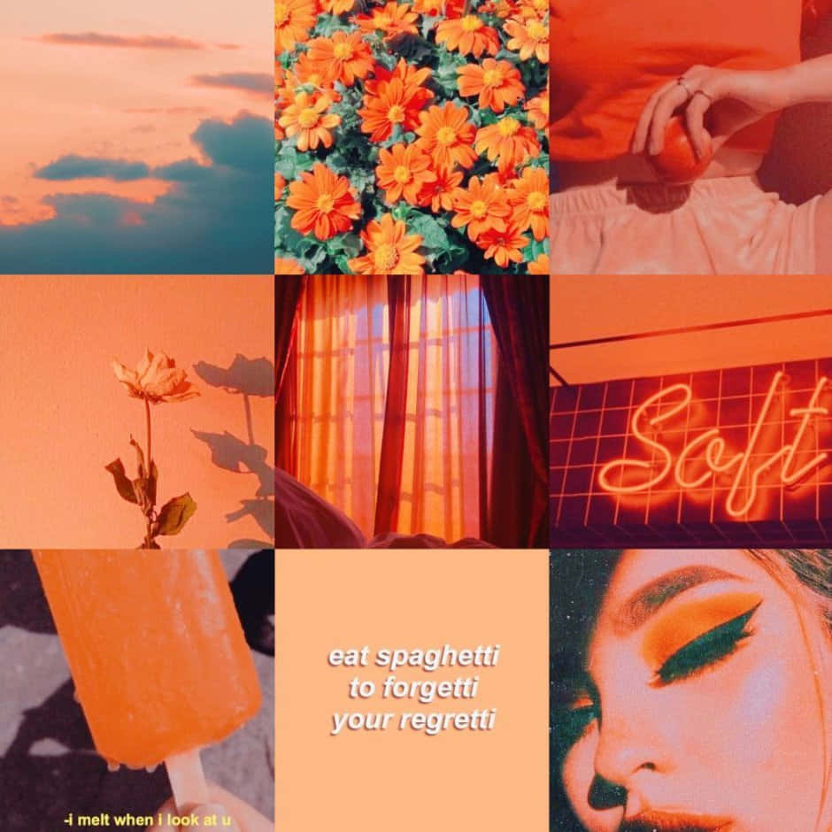 vintage orange aesthetic, sunset skies, flowers, SD Desktop Wallpaper