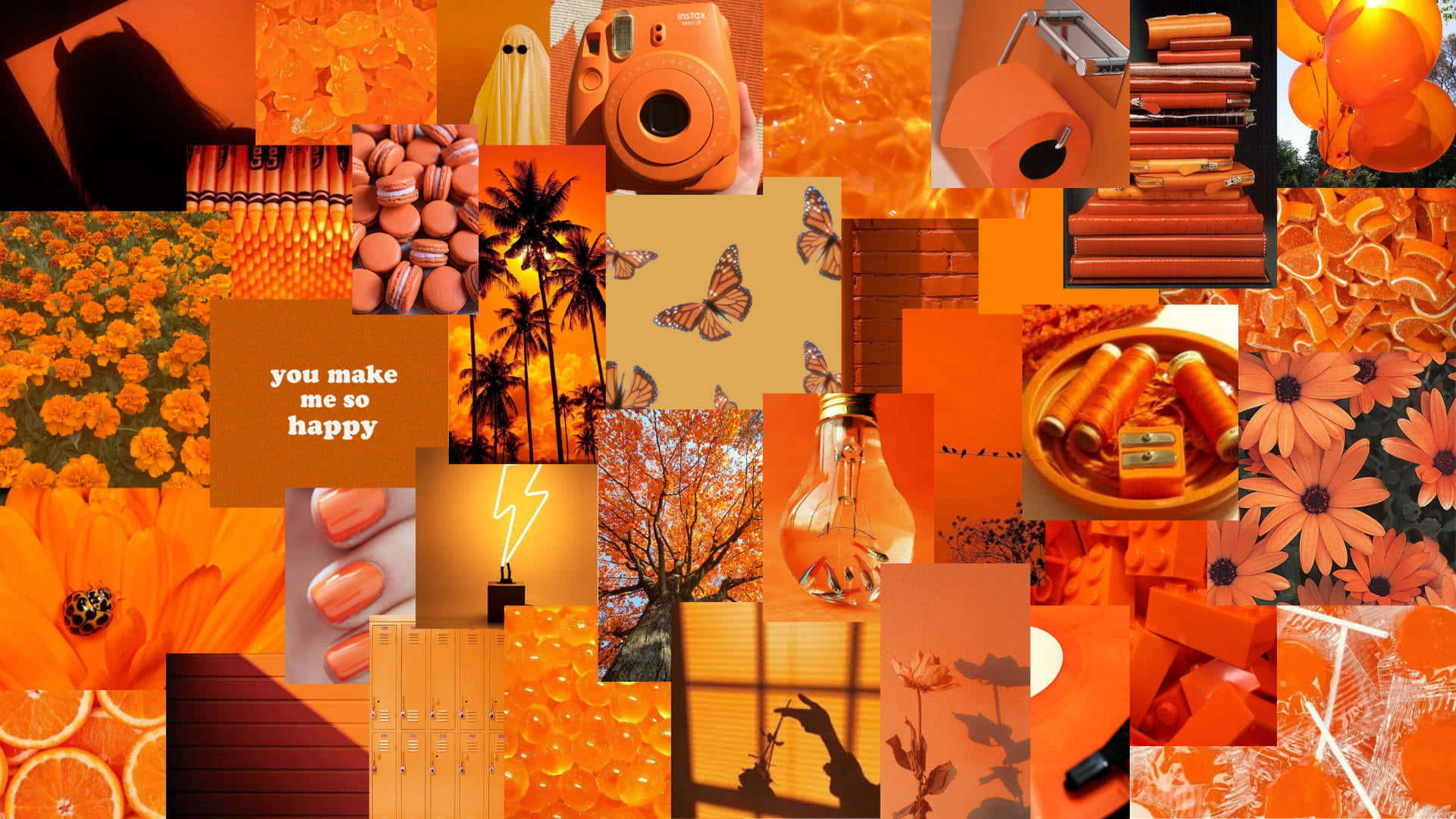 orange collage, flowers, butterflies, Full HD Desktop Wallpaper