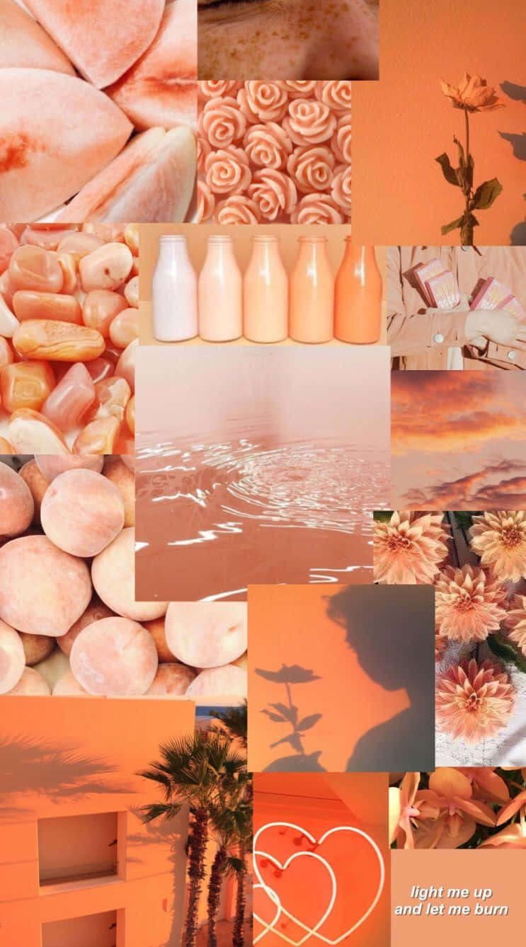peach stones, milk bottles, flowers, HD Phone Wallpaper