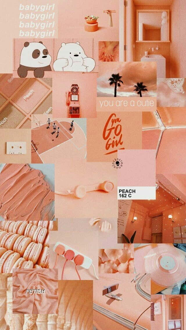 pastel peach aesthetic, cartoon bears, macarons, SD Phone Wallpaper