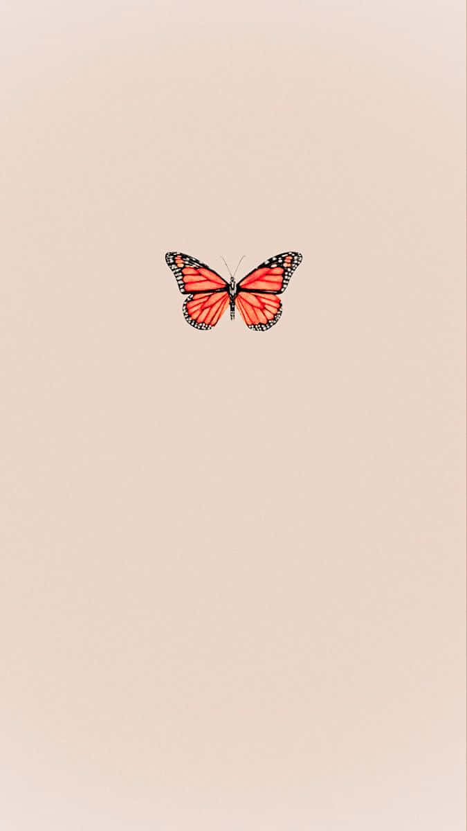 Pastel Peach Aesthetic, monarch butterfly, vibrant orange wings, SD Phone Wallpaper
