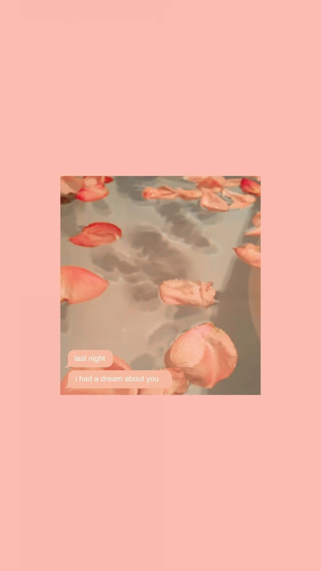 Pastel Peach Aesthetic, pink rose petals, calm water, HD Phone Wallpaper