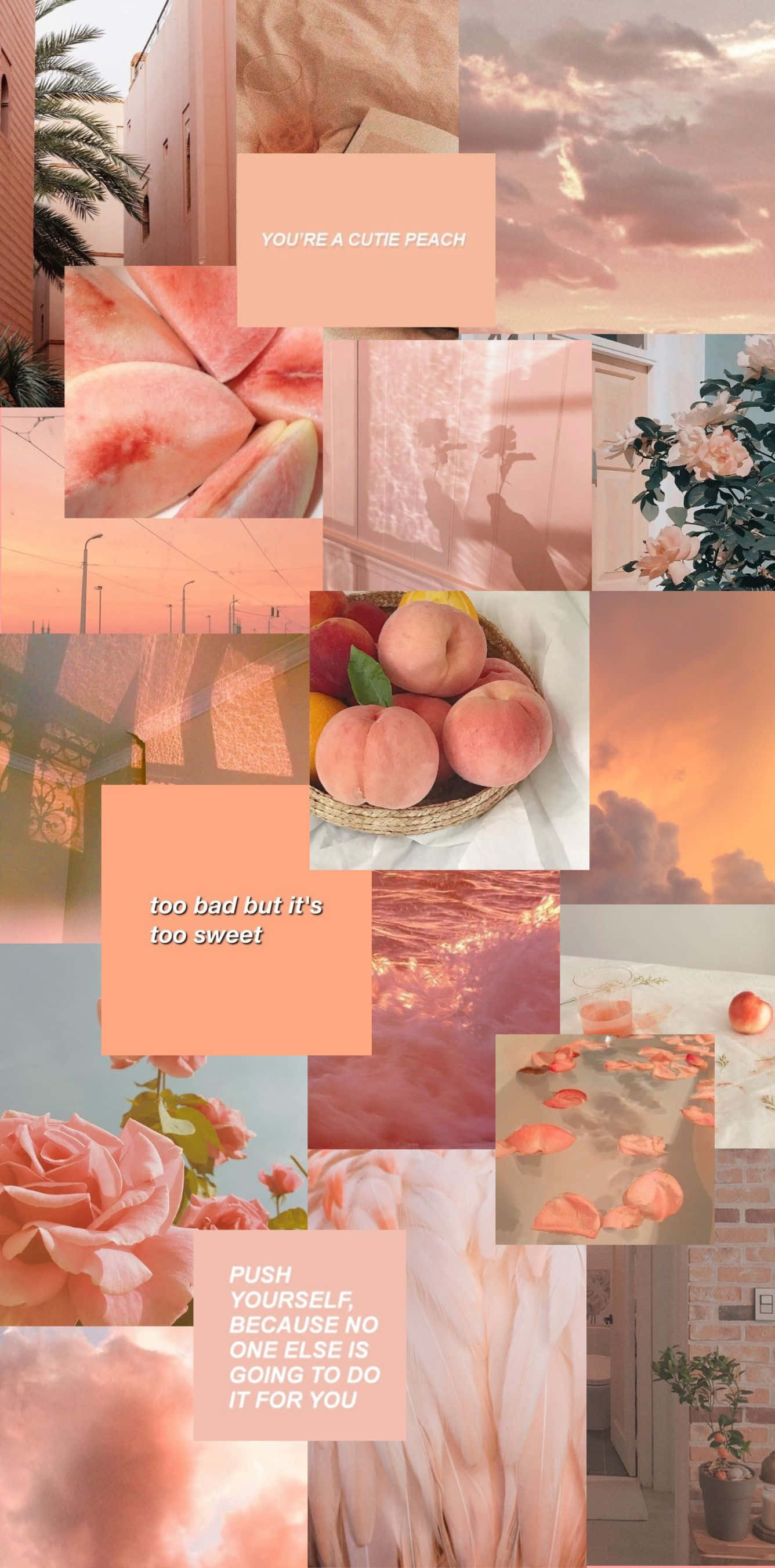 peach, orange, pastel aesthetic, 2K Phone Wallpaper