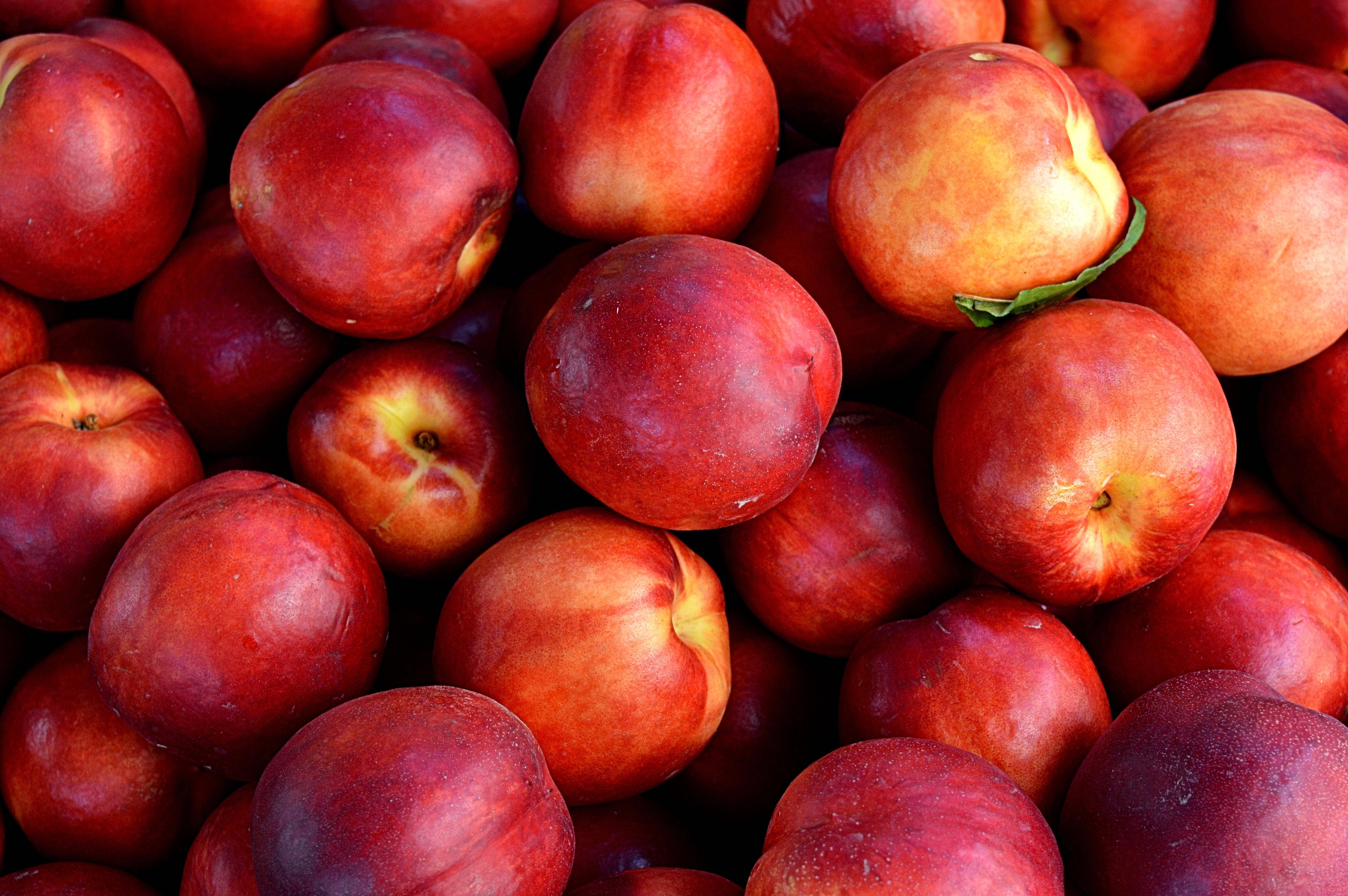 nectarine, glossy red skin, green leaves, 5K Desktop Wallpaper