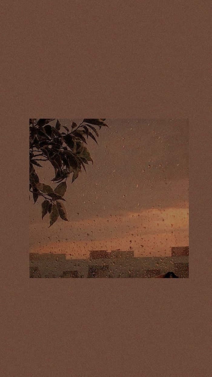 Pastel Brown, dusky orange cityscape, raindrops, SD Phone Wallpaper