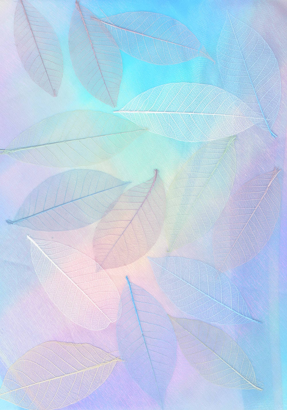 Pastel Phone, translucent leaves, pastel blue, HD Phone Wallpaper