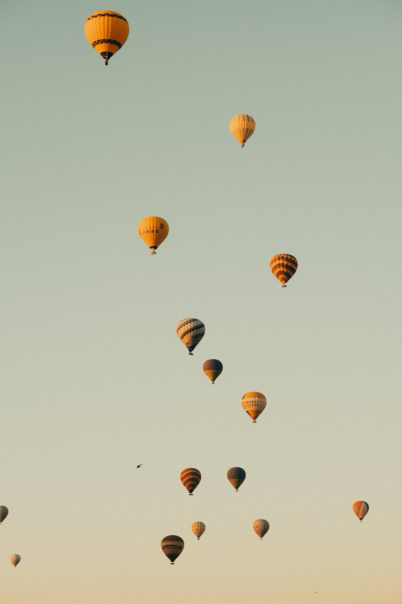 Pastel Phone, hot air balloons, golden hour, Full HD Phone Wallpaper