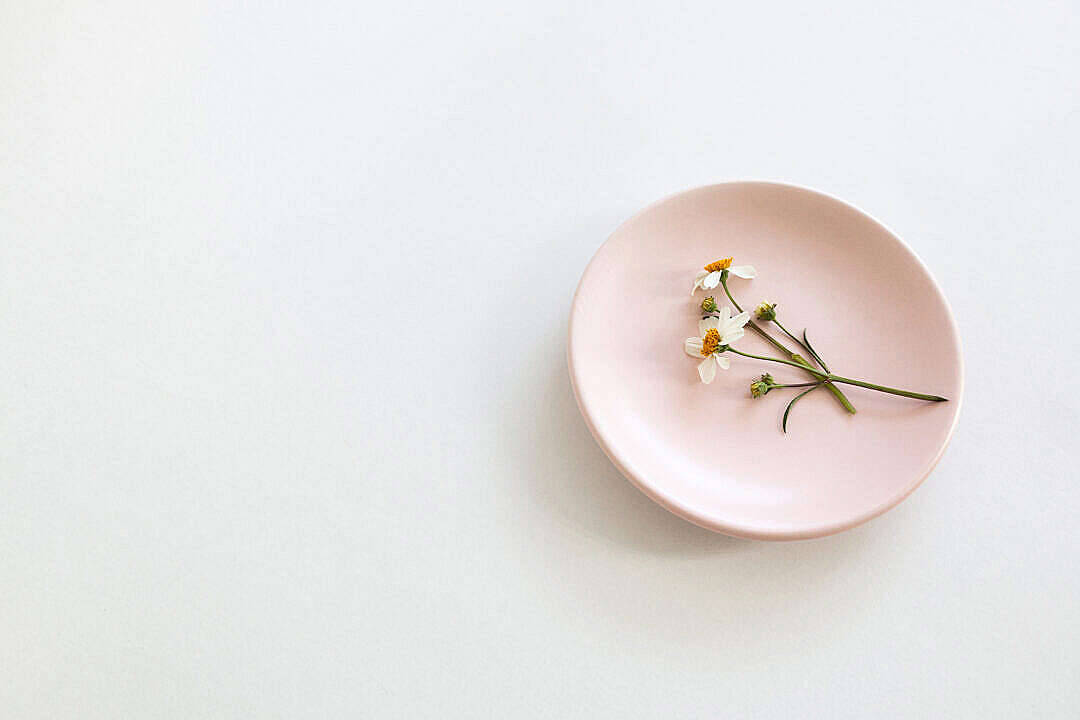 chamomile flower, pastel pink aesthetic, ceramic plate, SD Desktop Wallpaper