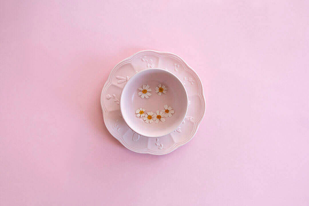 pastel pink aesthetic, white ceramic cup, daisies, SD Desktop Wallpaper