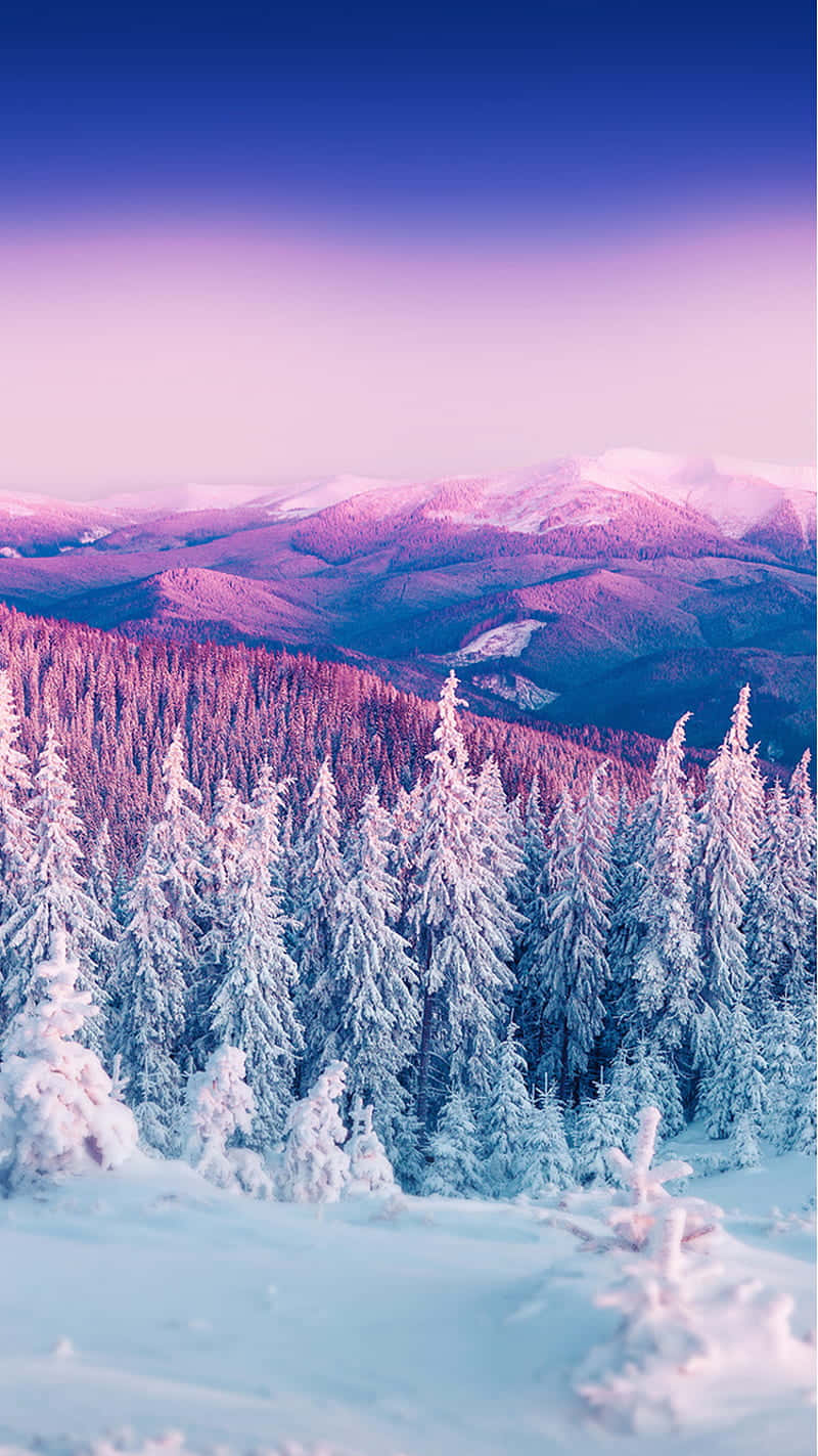 pastel pink and purple, pink and purple twilight sky, snow-covered pine trees, HD Phone Wallpaper