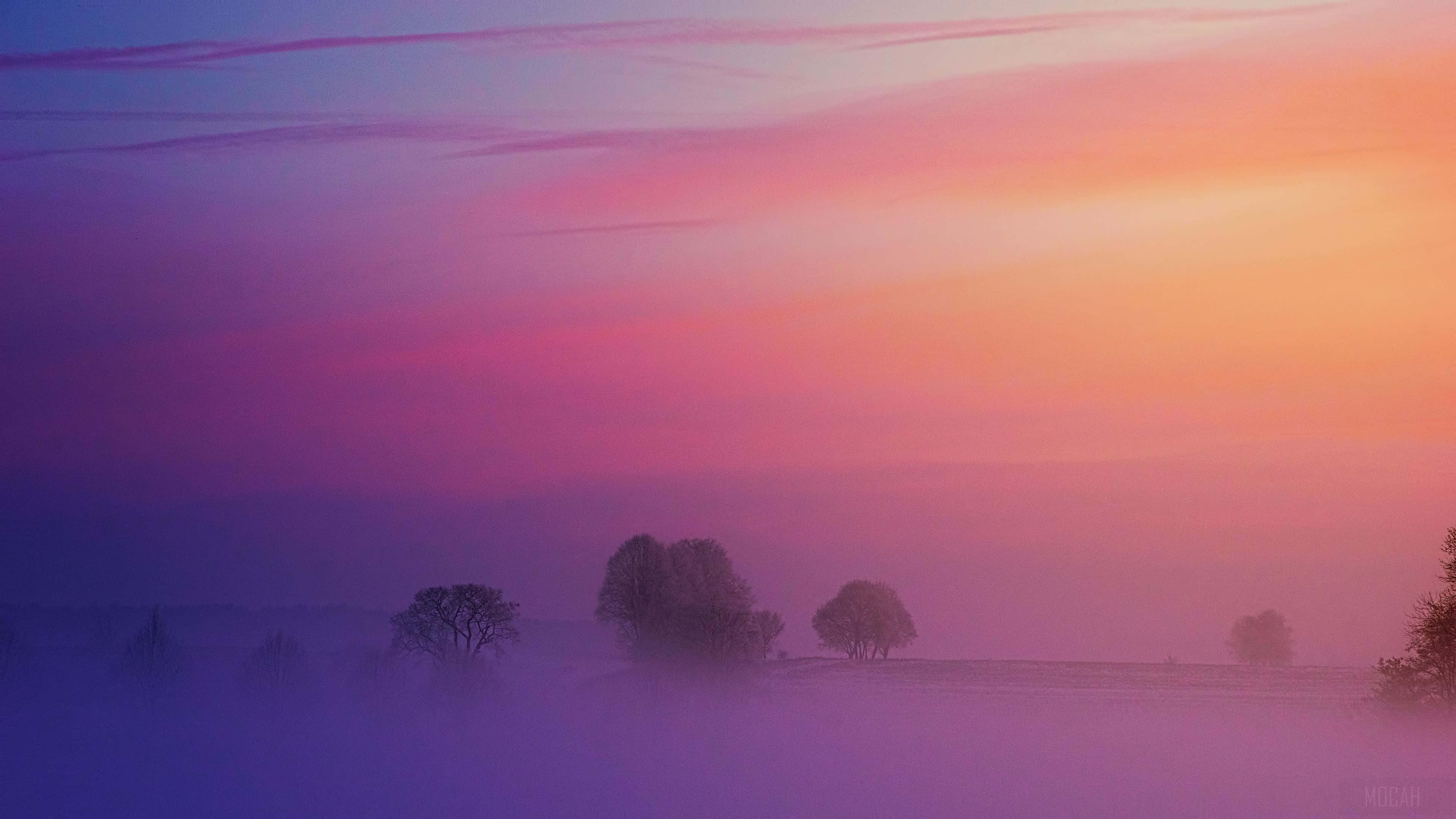 pastel pink and purple, purple sky, fog, 4K Desktop Wallpaper