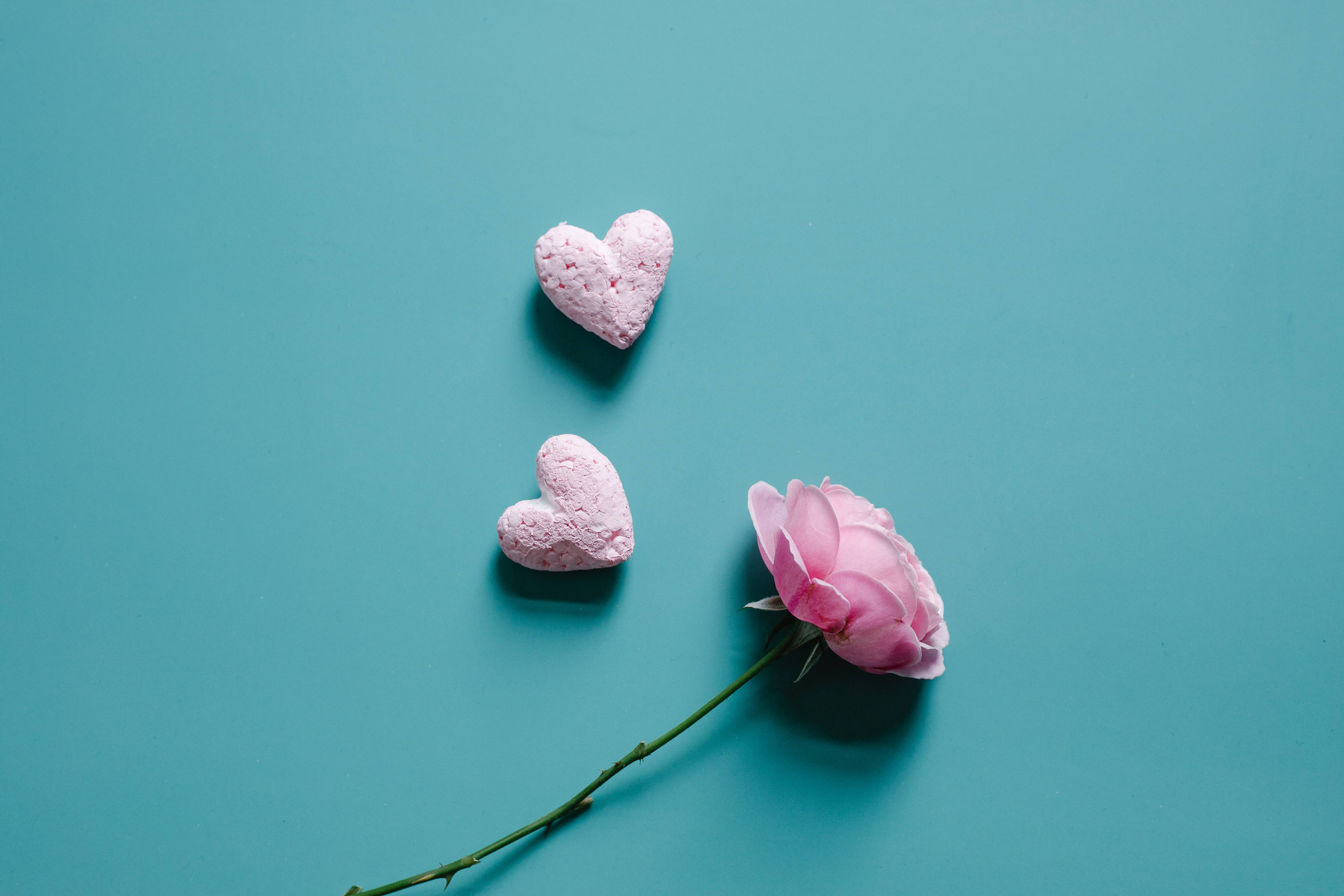 pastel pink heart shapes, rose, teal background, 4K Desktop Wallpaper