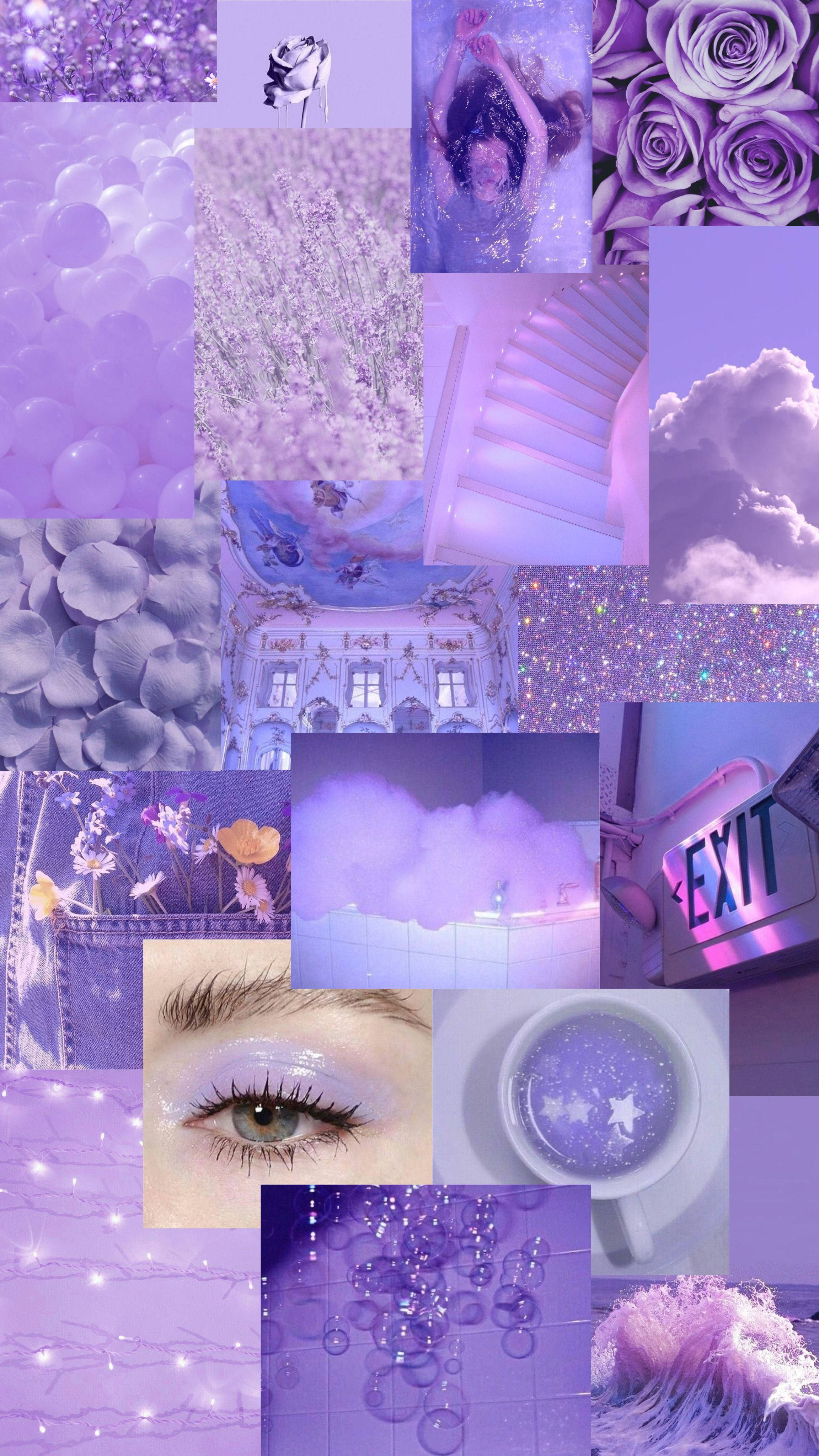 pastel purple, lavender, roses, 4K Phone Wallpaper