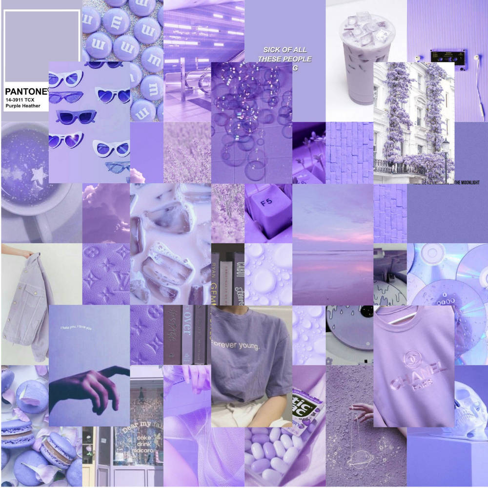 Pastel Purple, lavender-themed, soft pastel aesthetic, SD Desktop Wallpaper