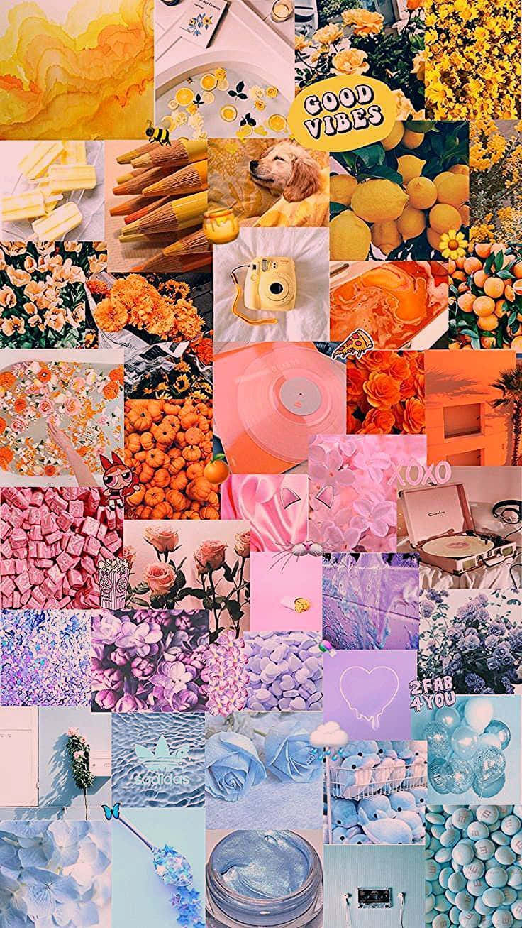 Pastel Rainbow Aesthetic, lemons, flowers, HD Phone Wallpaper