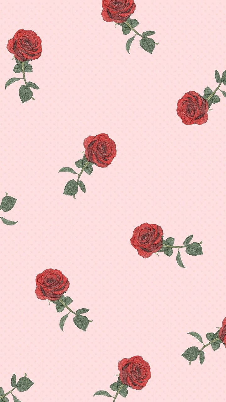 pastel red aesthetics, soft pink dotted background, red roses, HD Phone Wallpaper