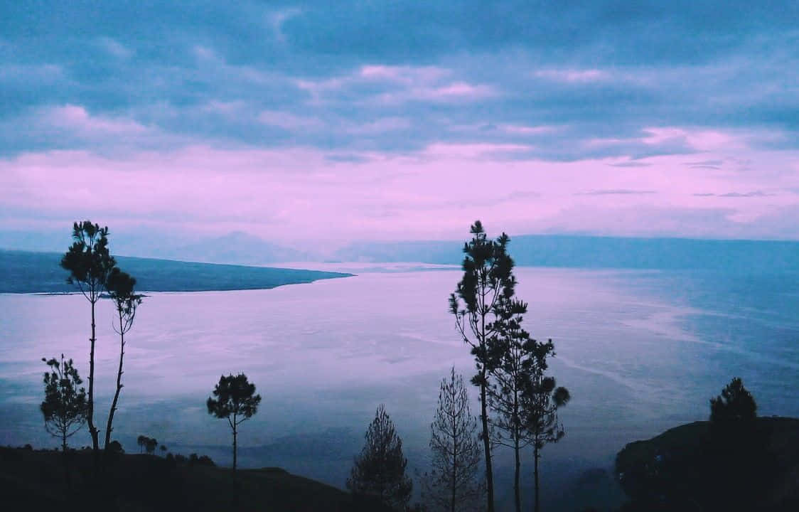 Pastel Summer, twilight sky, soft purple, SD Desktop Wallpaper