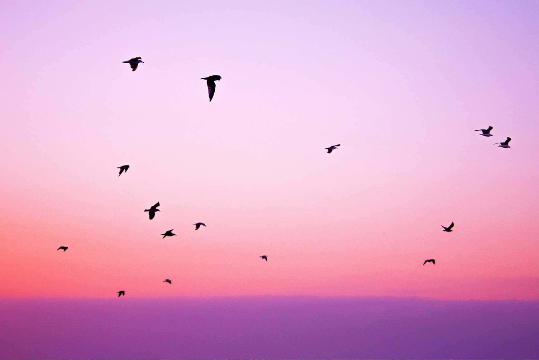 pastel summer, pink, purple, HD Desktop Wallpaper