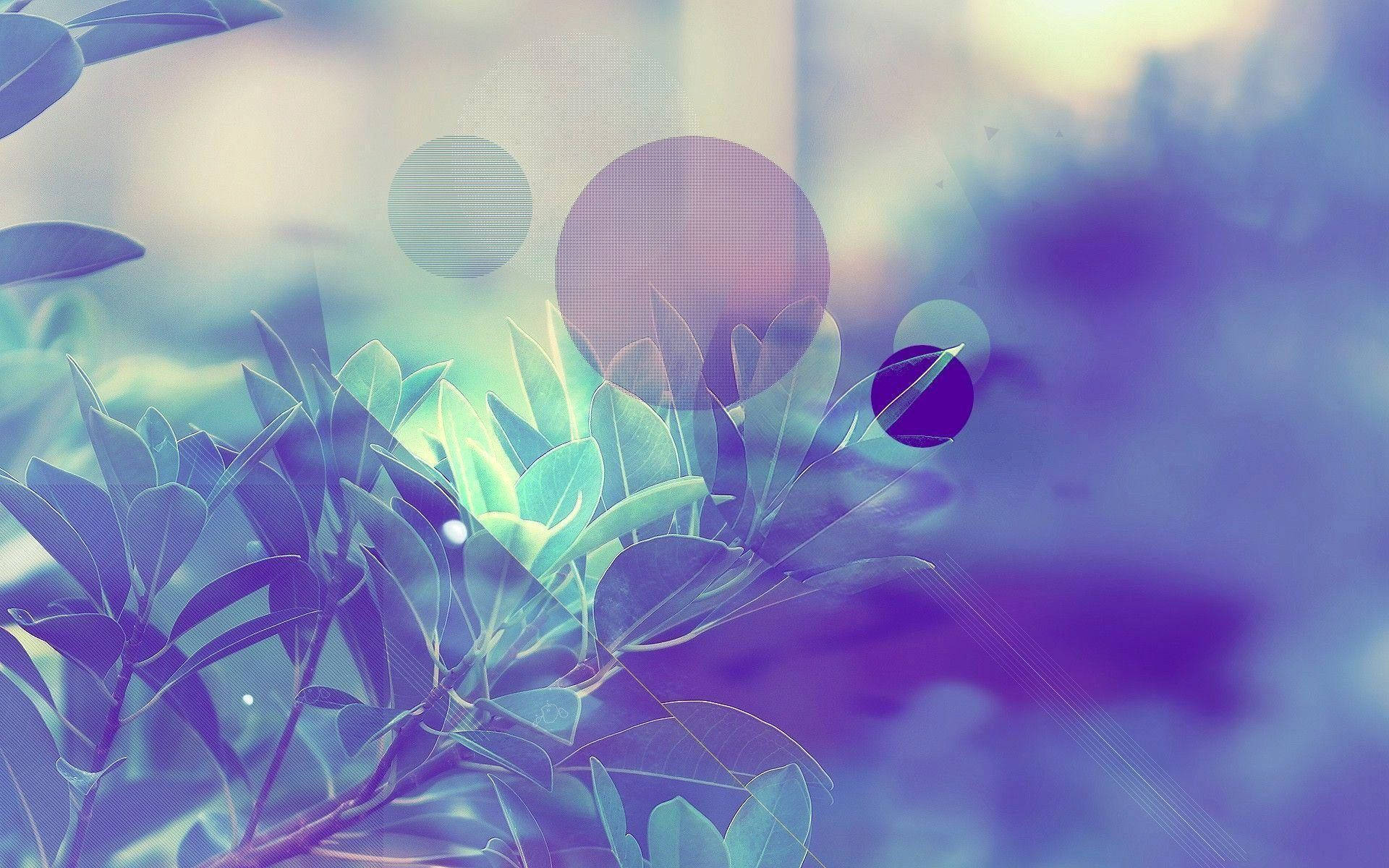 pastel teal, teal, purple, Full HD Desktop Wallpaper