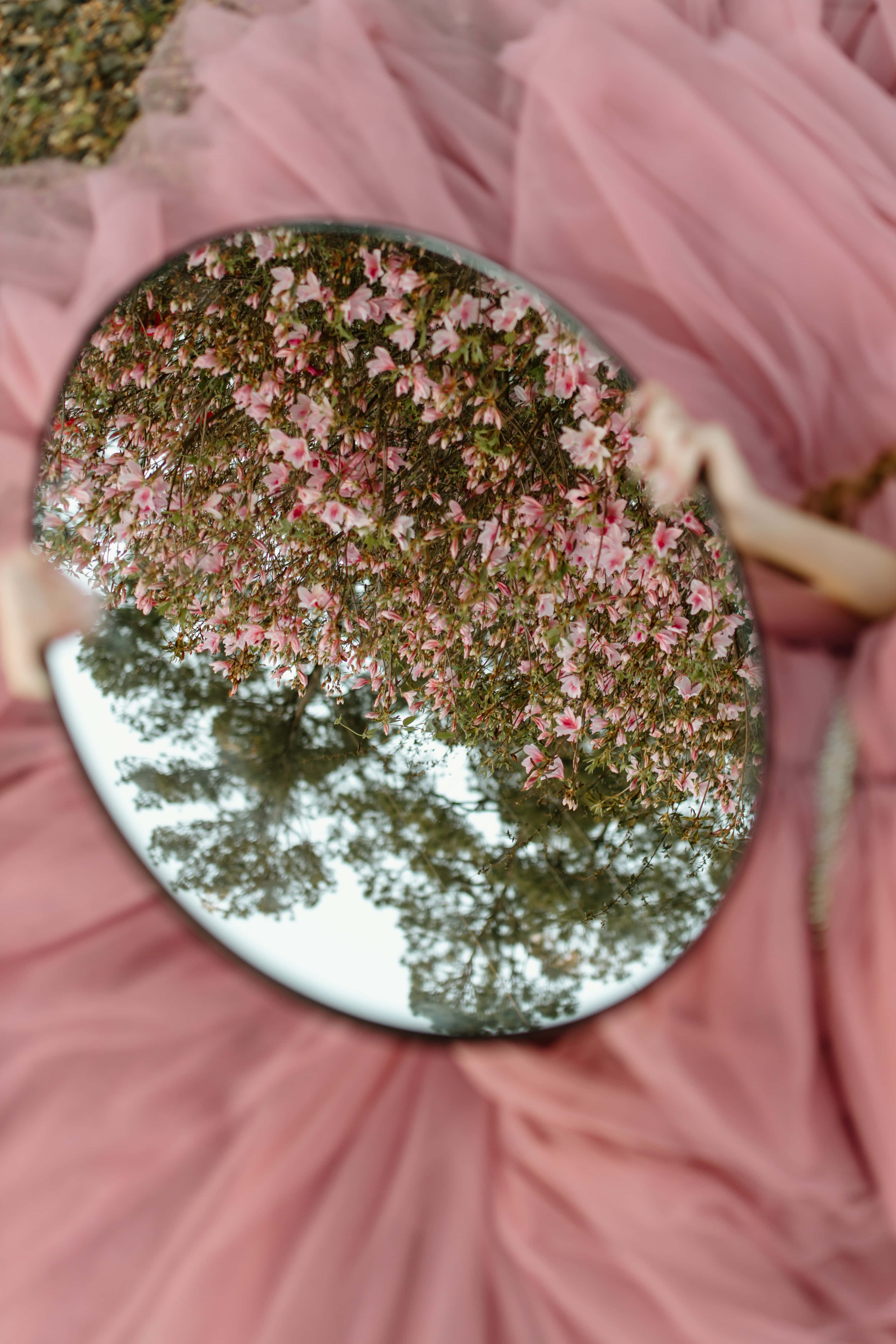 pastel vintage iPhone, pink cherry blossoms, green tree branches, 5K Phone Wallpaper