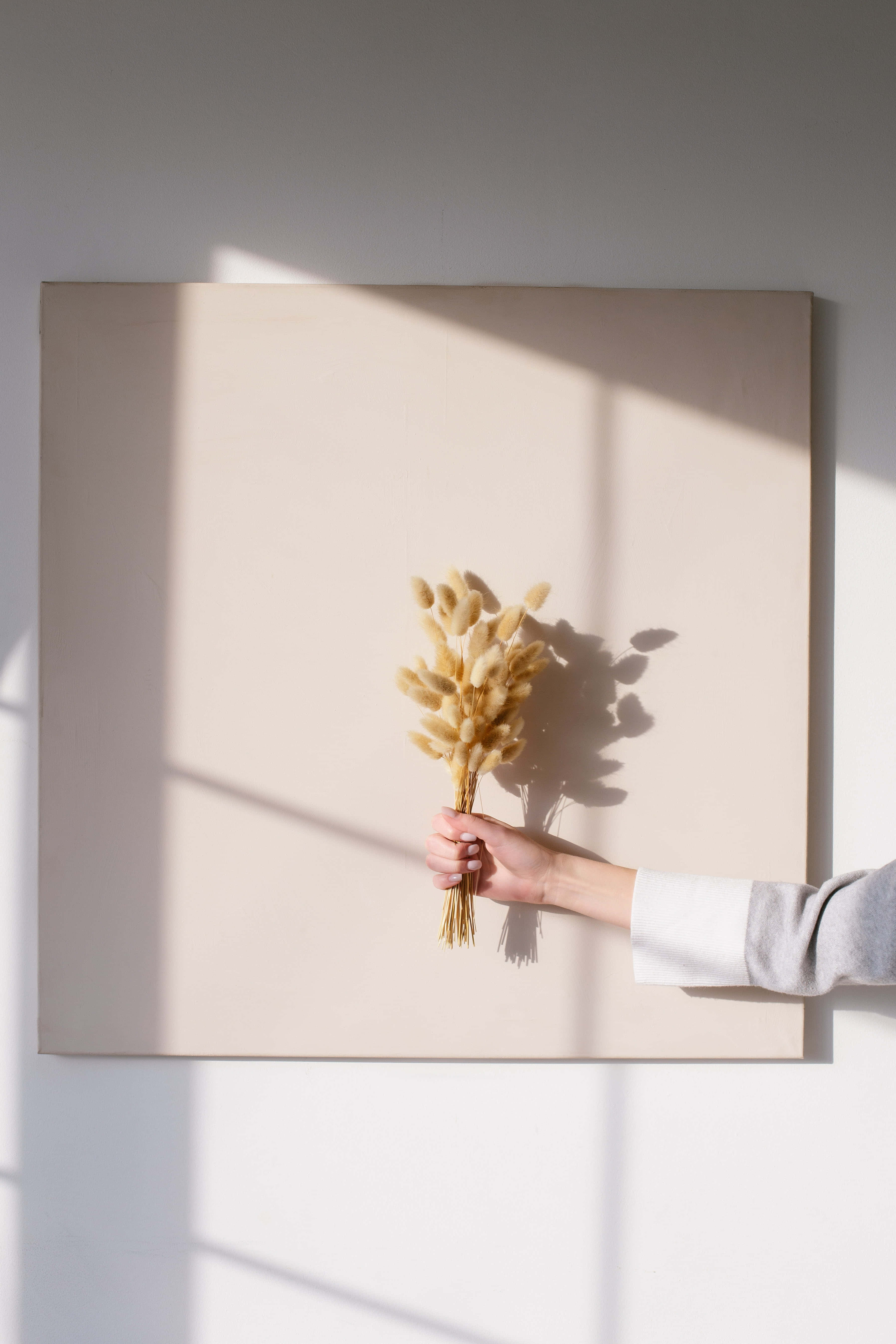 pastel vintage iphone, dried pampas grass bouquet, beige canvas, 5K Phone Wallpaper
