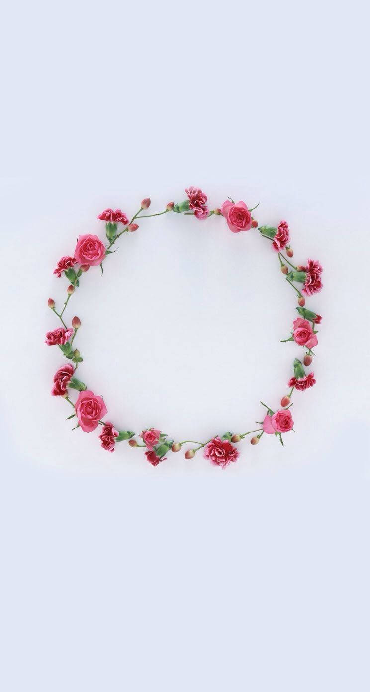 vintage pastel, pink roses, green stems, HD Phone Wallpaper