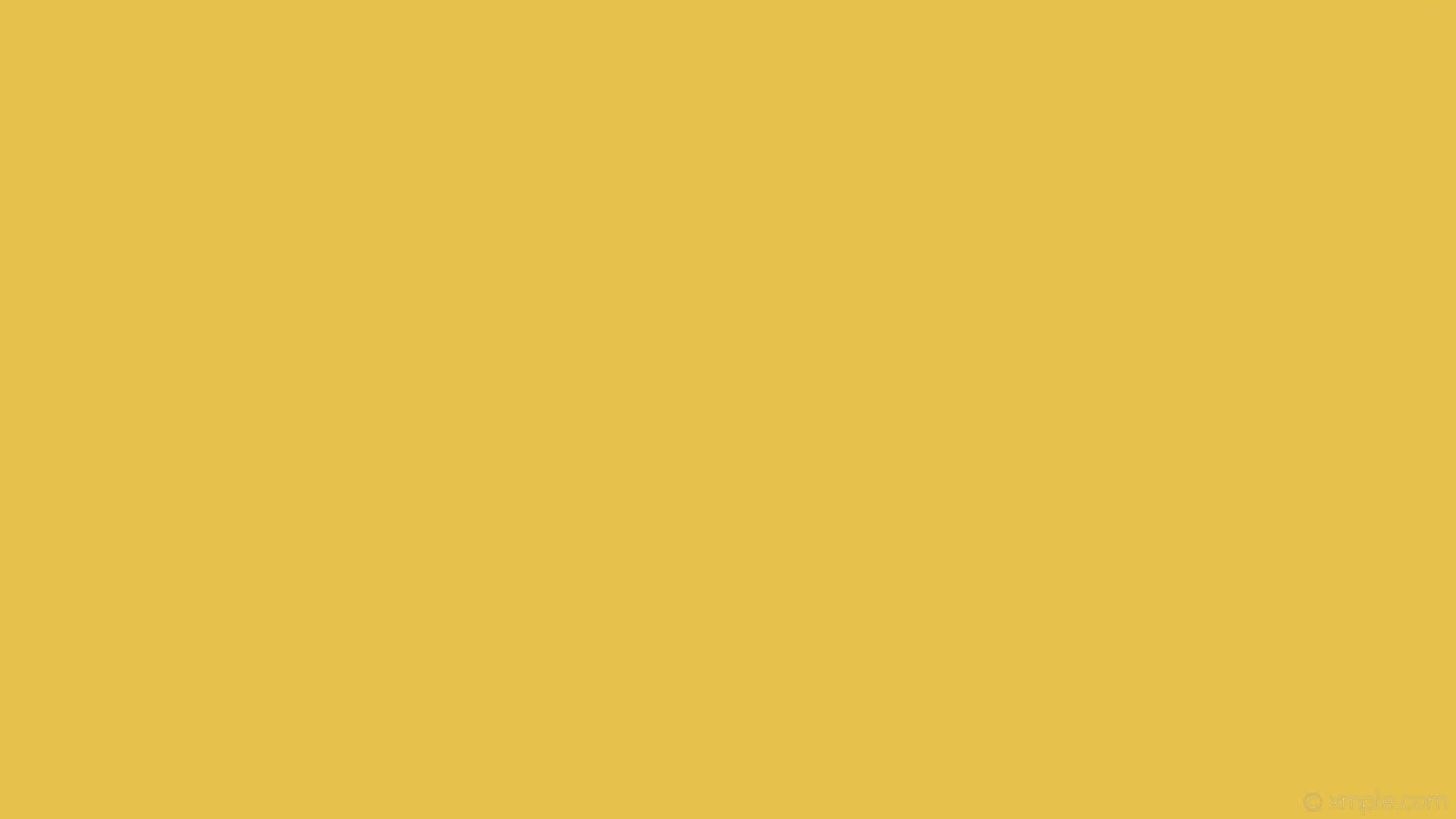 pastel yellow laptop, mustard yellow, solid background, Full HD Desktop Wallpaper
