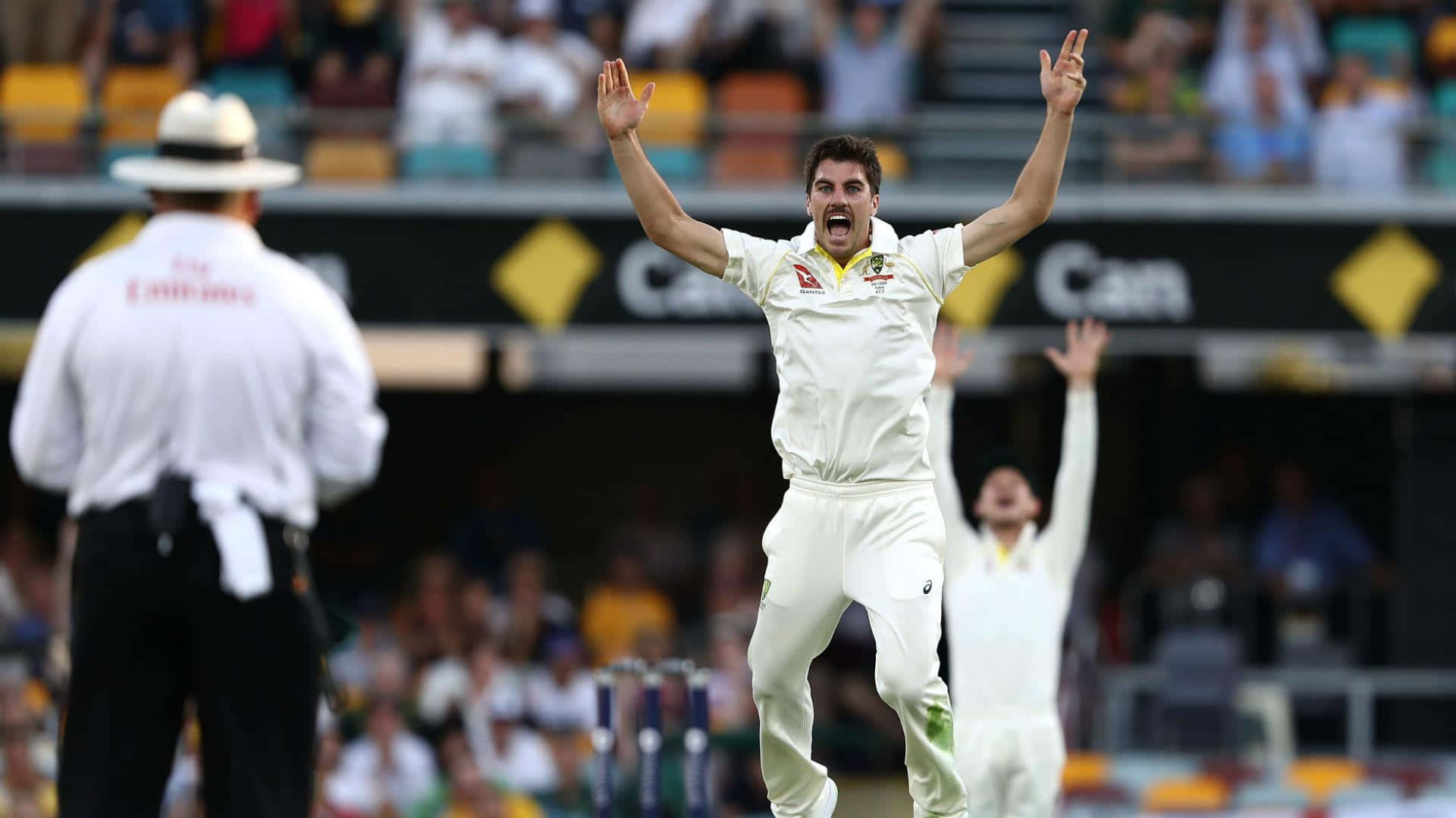 Pat Cummins, cricket player, white uniform, Full HD Desktop Wallpaper
