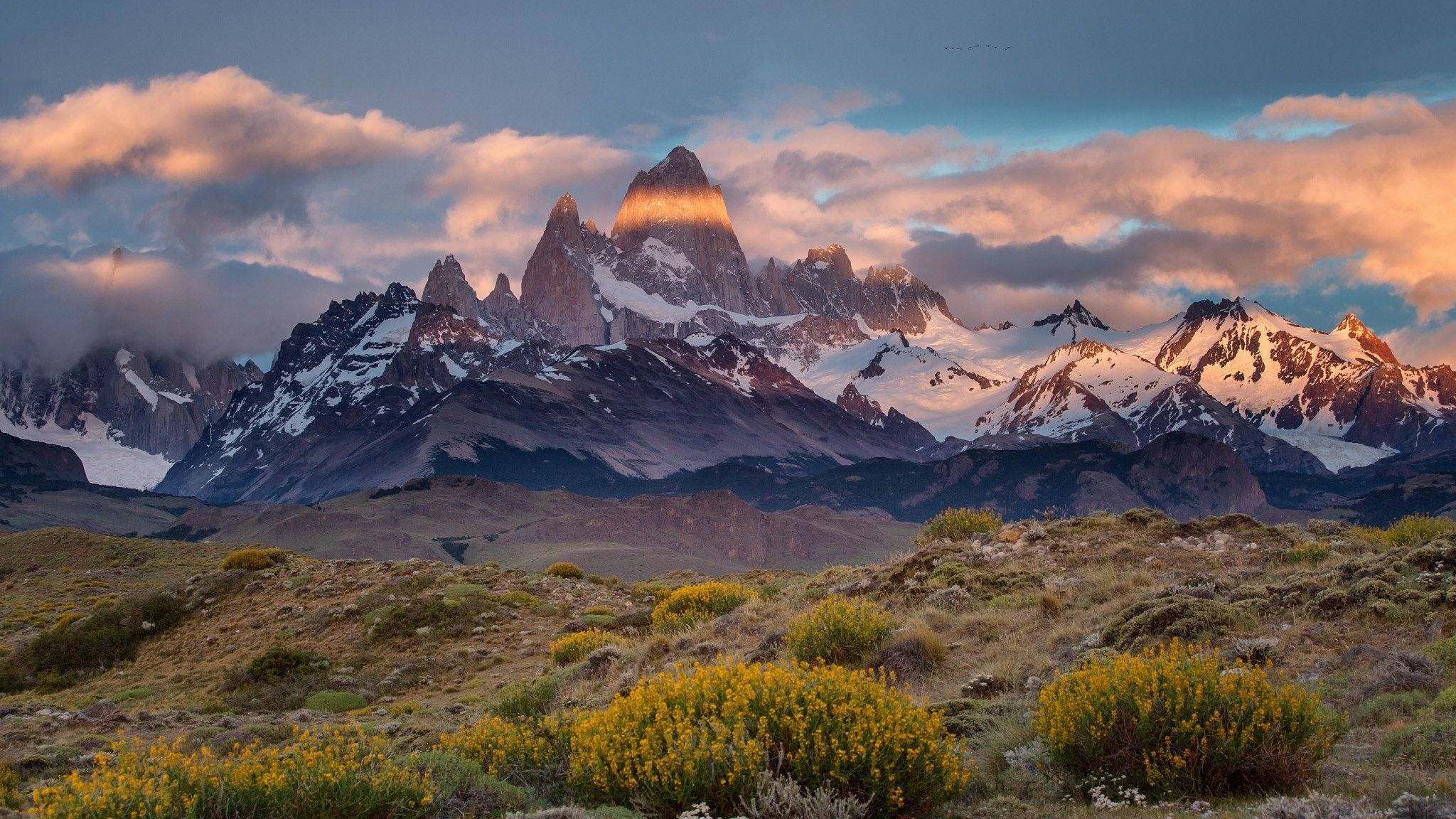 Patagonia, yellow flower shrubs, sunset, Full HD Desktop Wallpaper