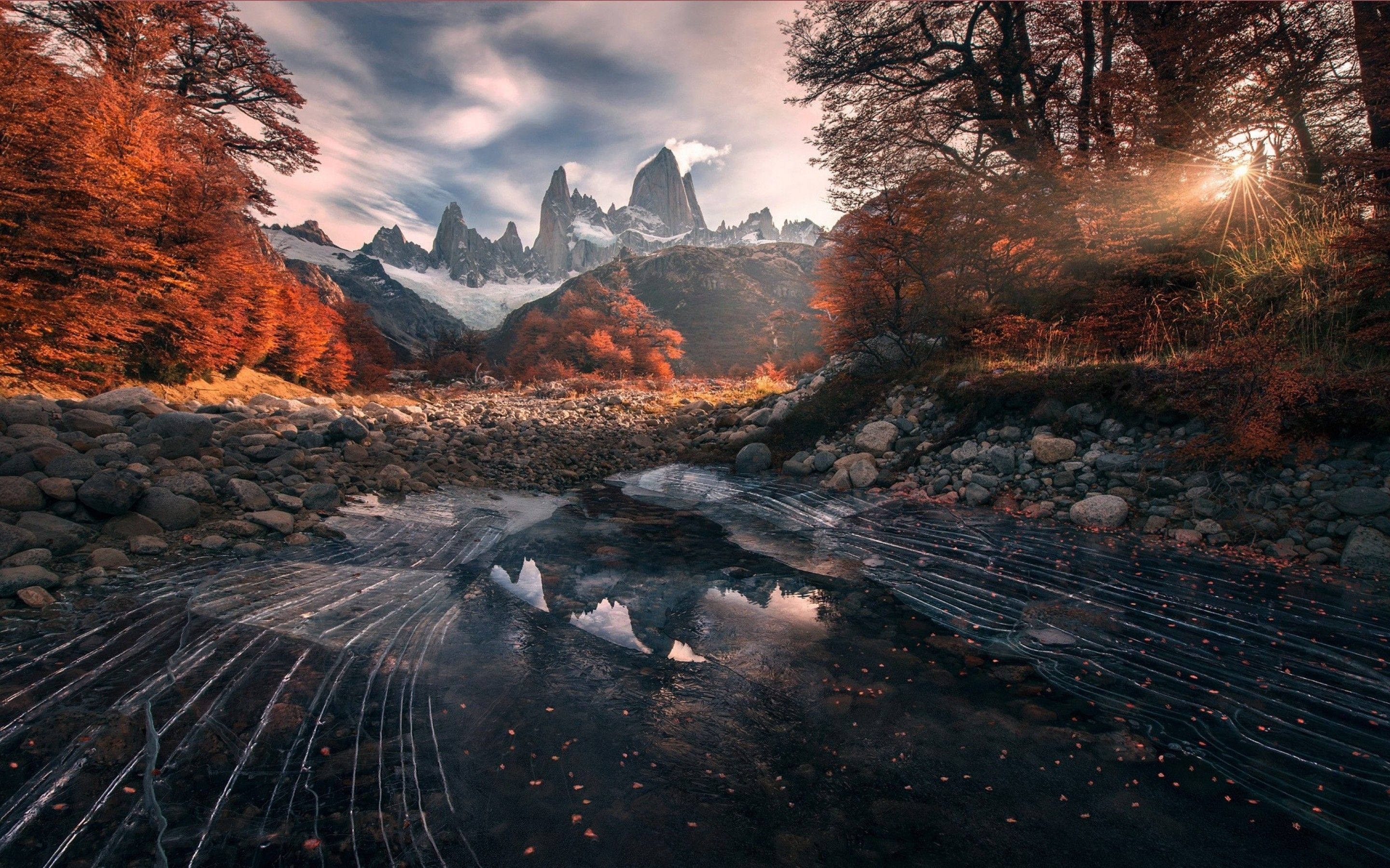 Patagonia, autumn forest, frozen stream, 2K Desktop Wallpaper