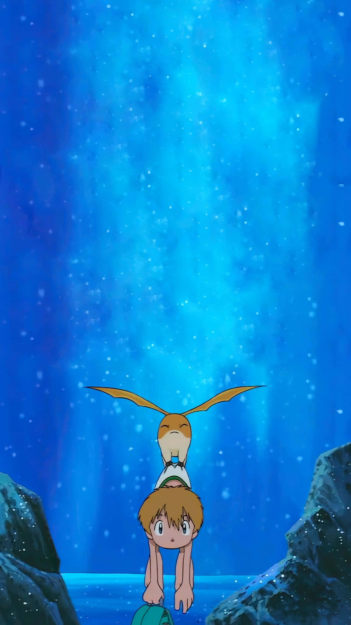 Patamon, T K, Starry Night, Full HD Phone Wallpaper