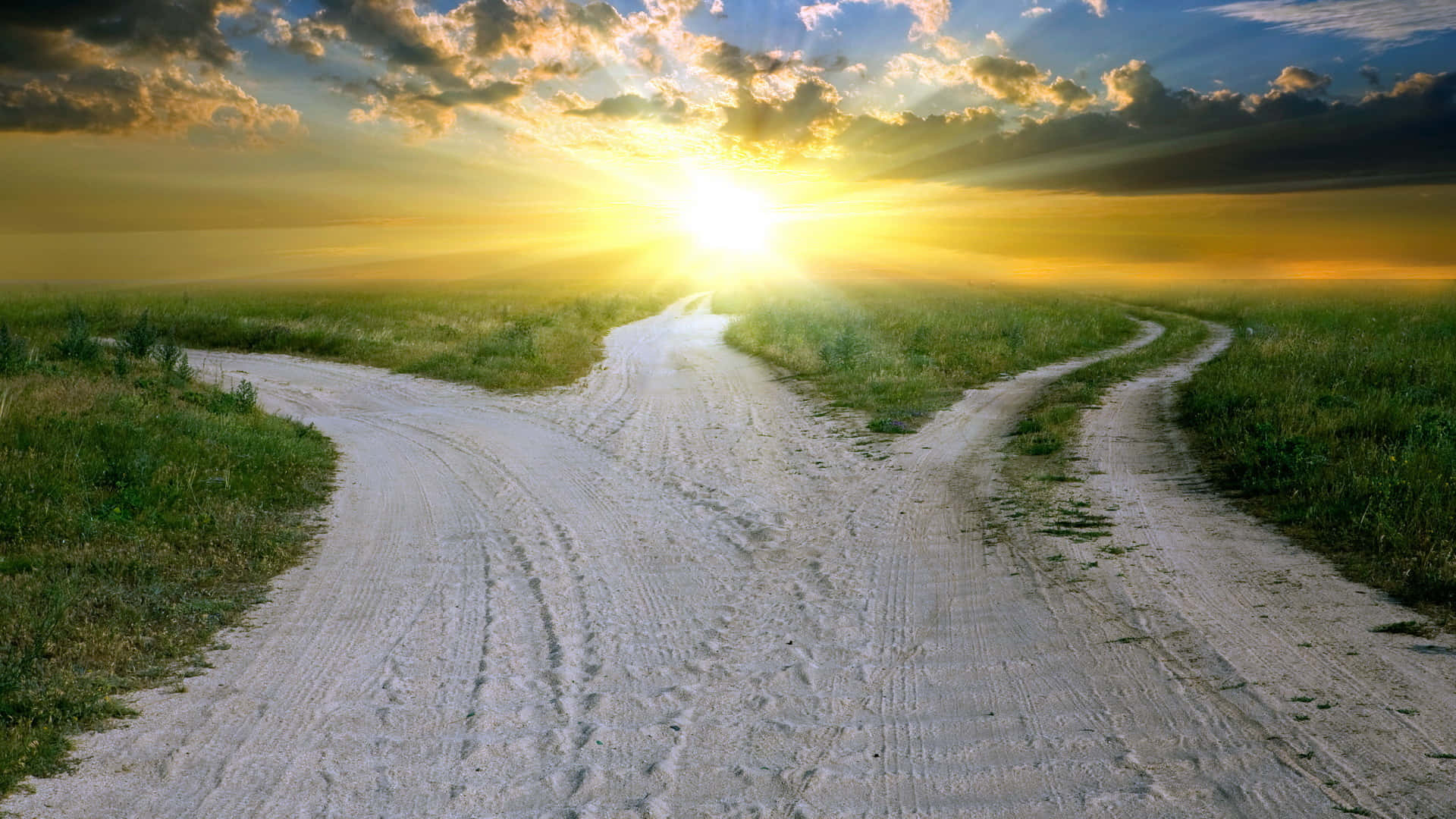 sunlit dirt road, three paths, grassy field, Full HD Desktop Wallpaper
