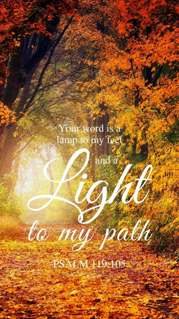 light to my path bible verse, sunlight, vibrant orange and yellow autumn trees, HD Phone Wallpaper