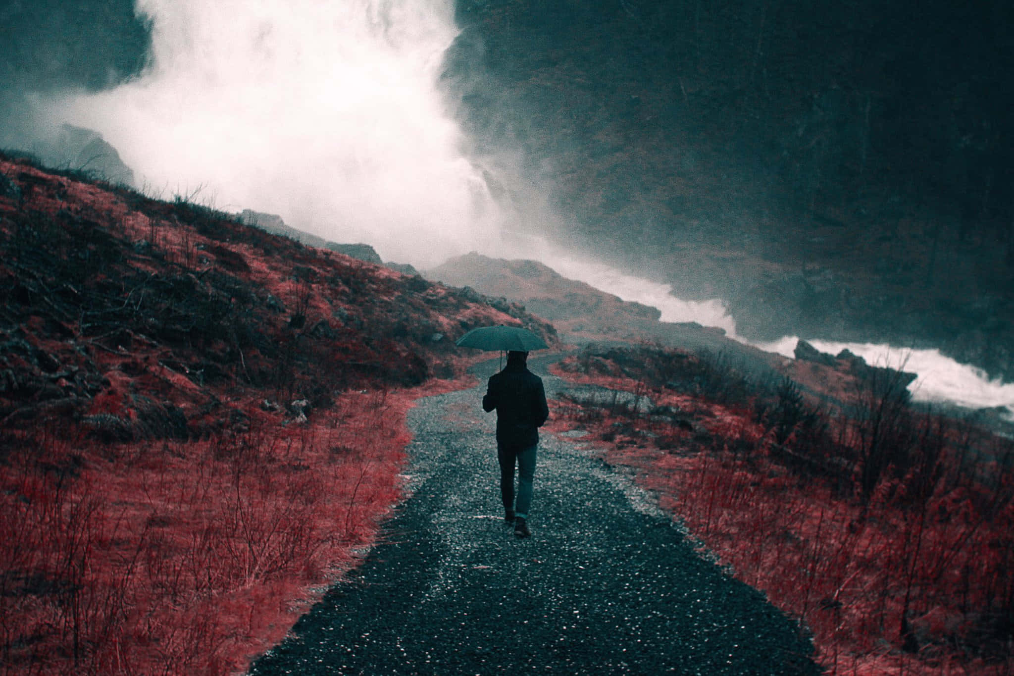 Arduous Trek, wet path, misty red landscape, Full HD Desktop Wallpaper