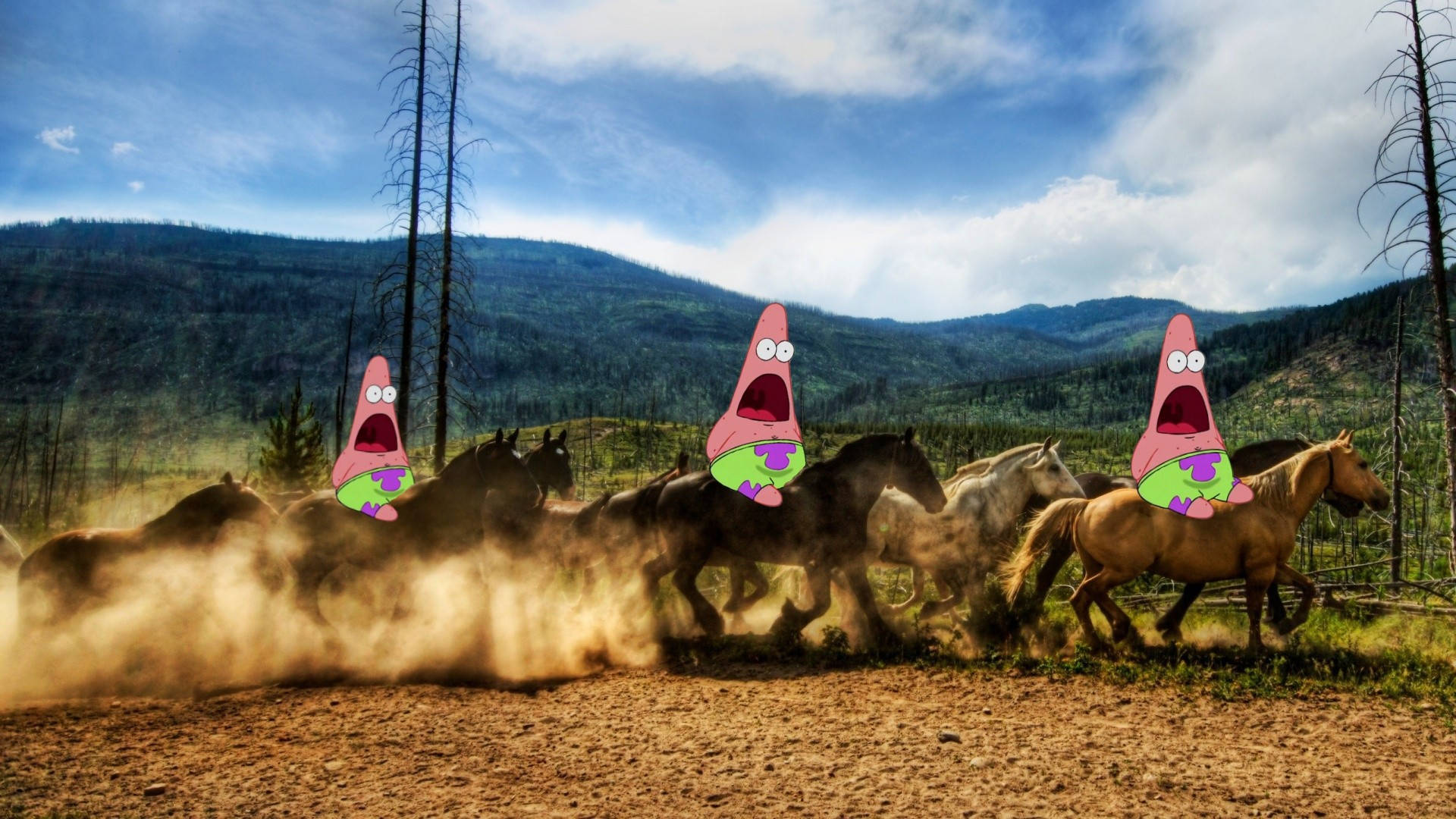 Patrick Star, cartoon starfish, wild horses, Full HD Desktop Wallpaper
