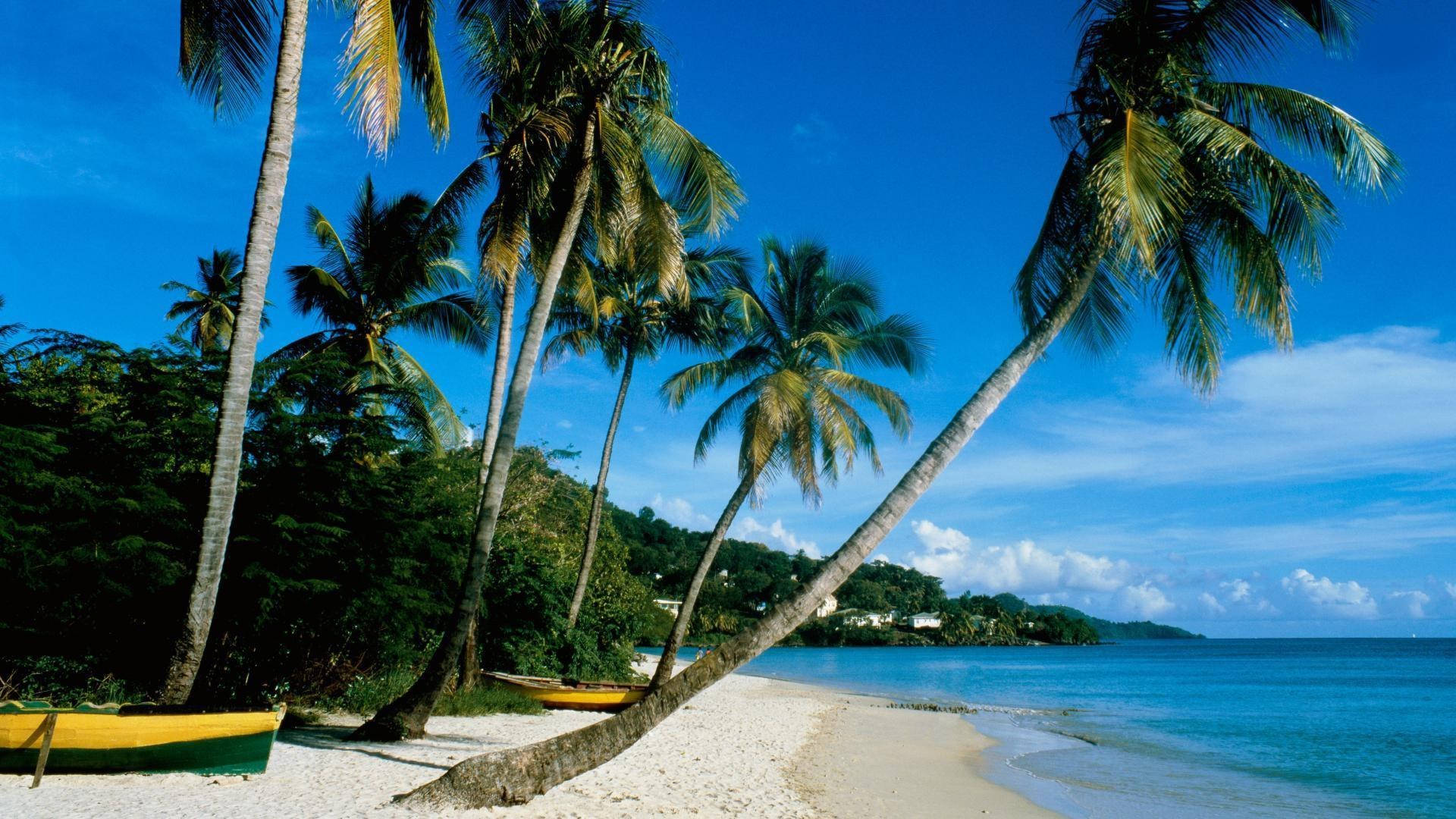 Pattaya Beach, palm trees, white sand, Full HD Desktop Wallpaper
