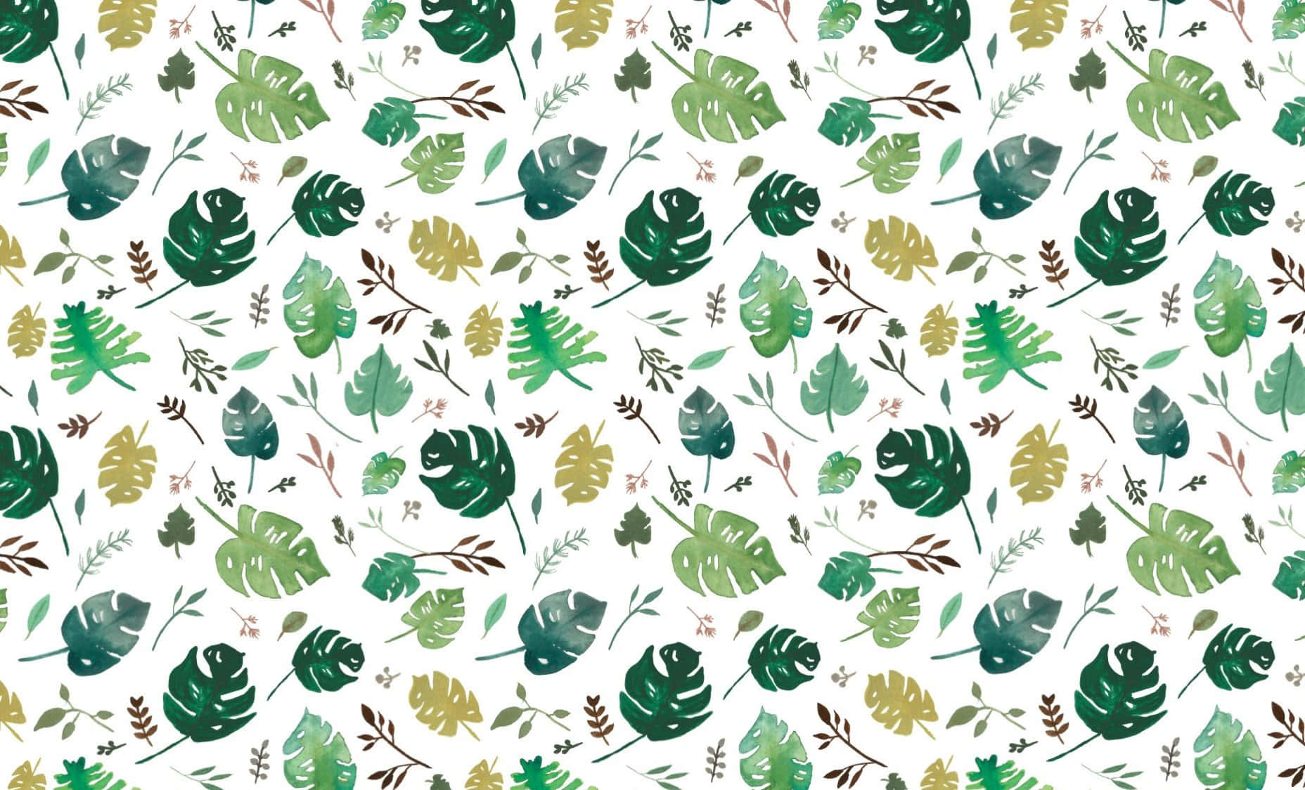 Pattern Desktop, monstera, ferns, HD Desktop Wallpaper