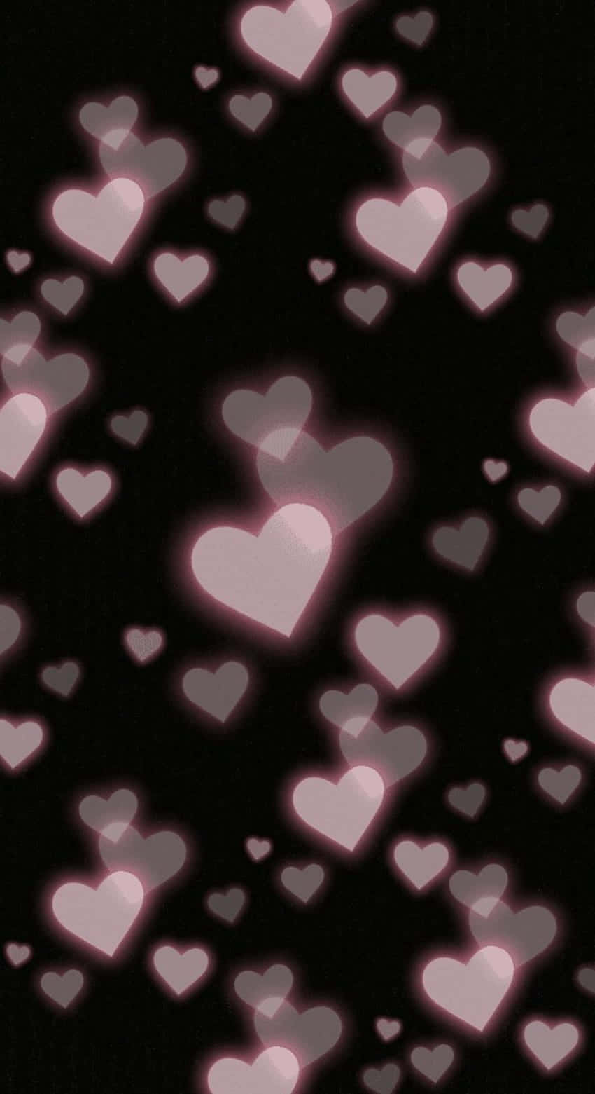 Pale Heart PFP Shower, soft glowing pink hearts, deep black background, HD Phone Wallpaper