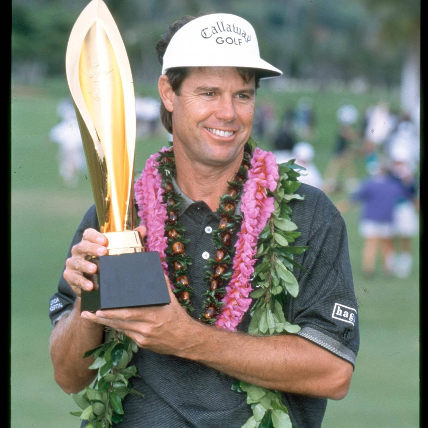 Paul Azinger, golden trophy, pink and green floral lei, HD Desktop Wallpaper