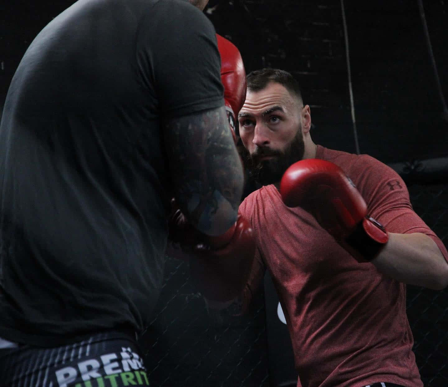 Paul Craig, red gloves, MMA cage, HD Desktop Wallpaper